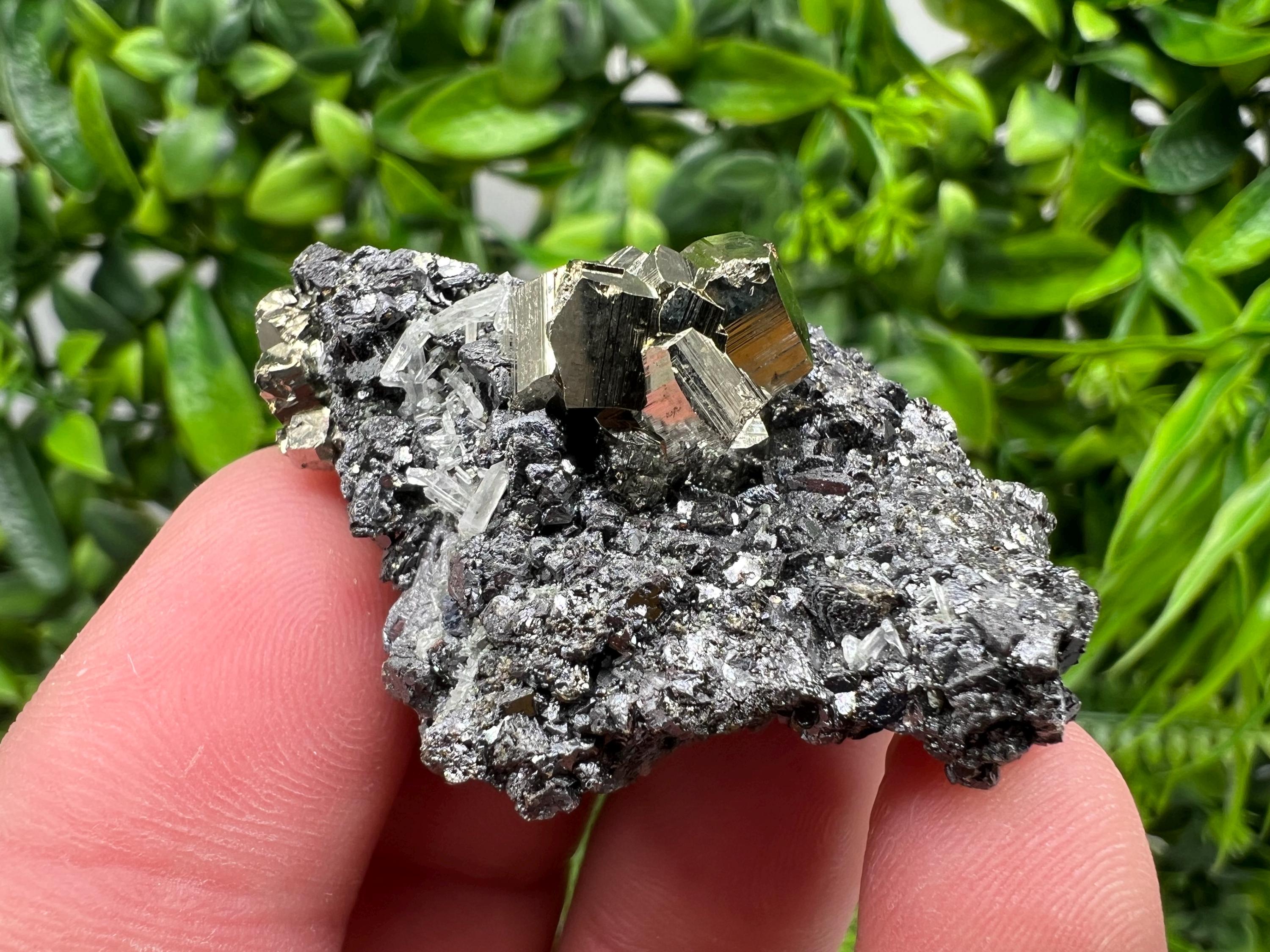 Pyrite Galena Sphalerite Quartz Specimen: Borieva Mine Mineral Decor