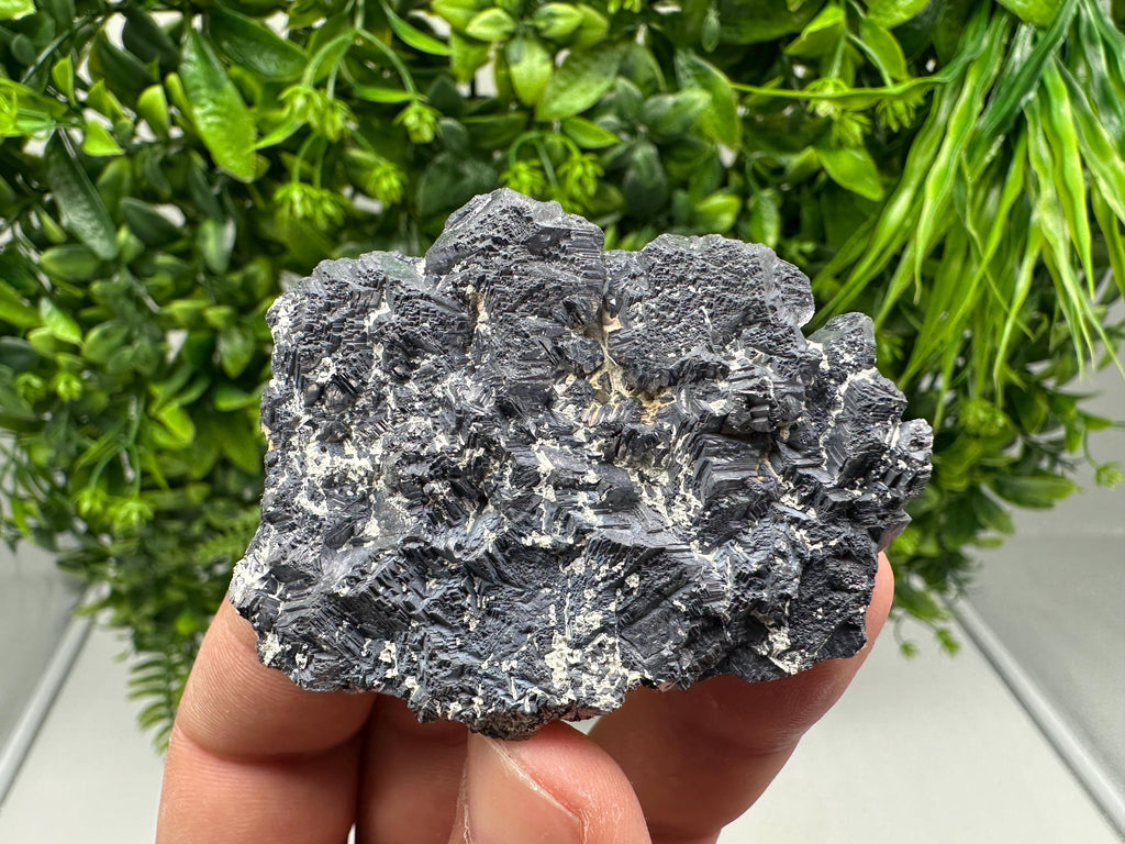 Galena Spinel Law Mineral Specimen: Krushev Dol, Bulgaria