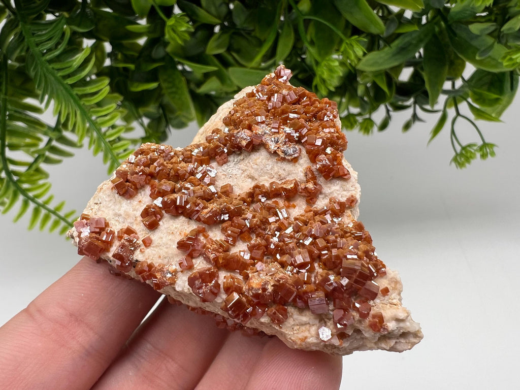Red Vanadinite Crystal Cluster on Barite Matrix, Morocco