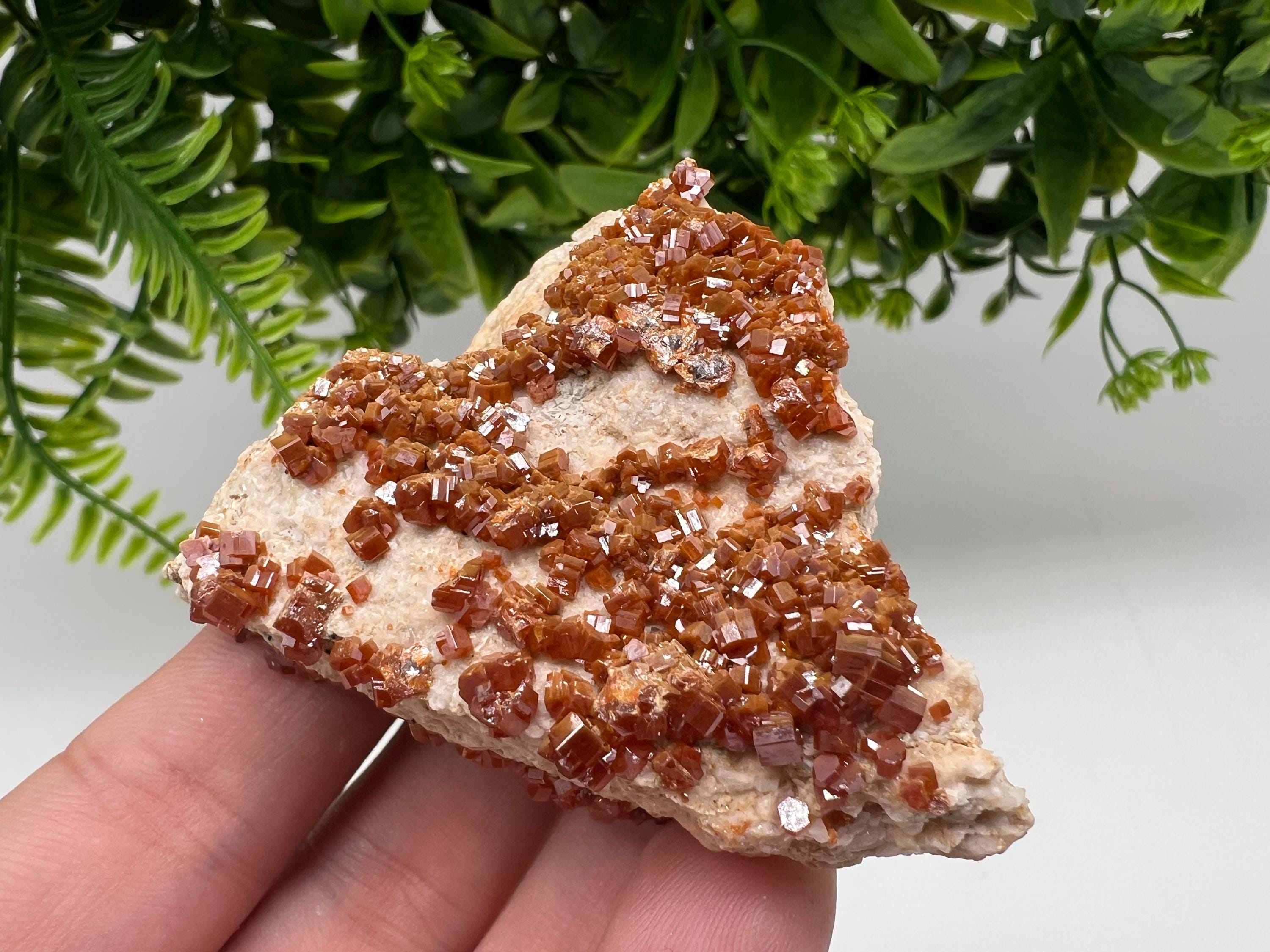 Red Vanadinite Crystal Cluster on Barite Matrix, Morocco