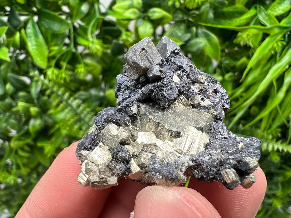 Golden Pyrite,Sphalerite from 9th September mine,Madan,Bulgaria,natural,collectible mineral specimen,home decor crystal,Pyrite cluster,