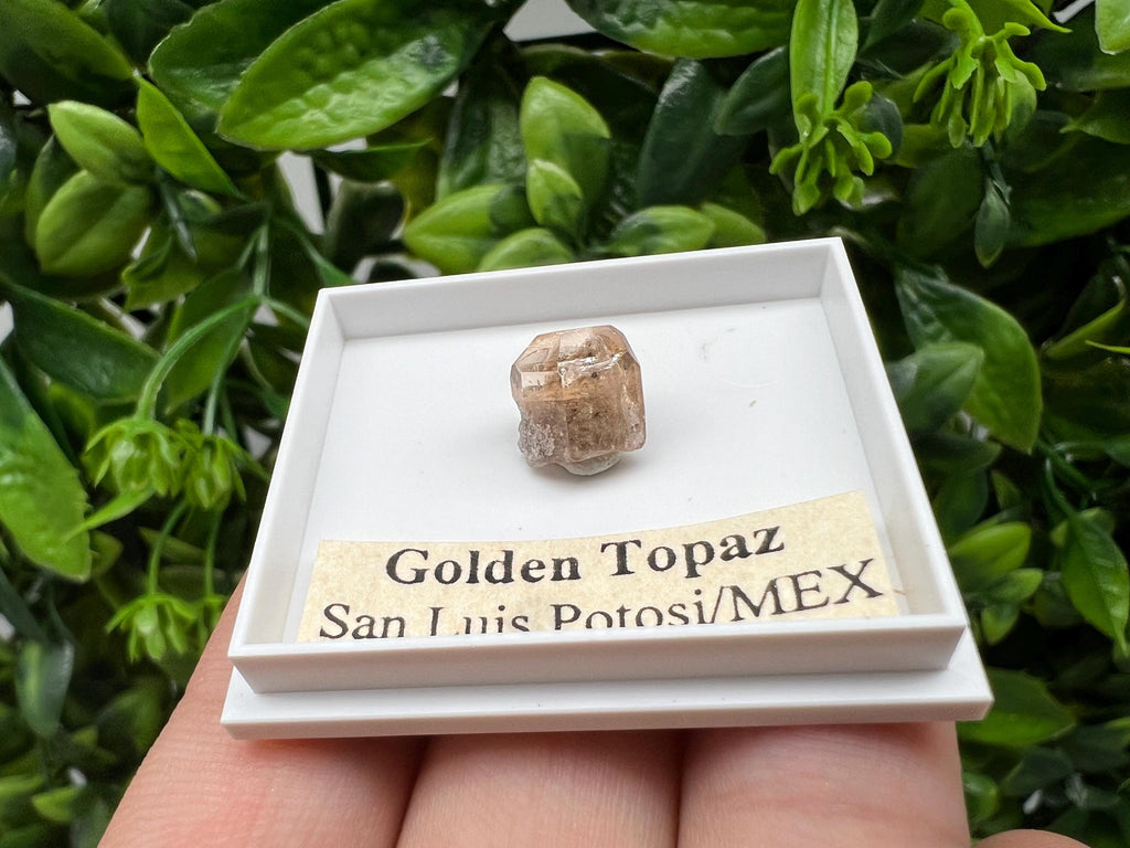 Beautiful Golden Topaz from Mexico,collection piece Crystal,Mineral,collectibles,Collectors, Natural Crystal, Minerals from Mexico,original,