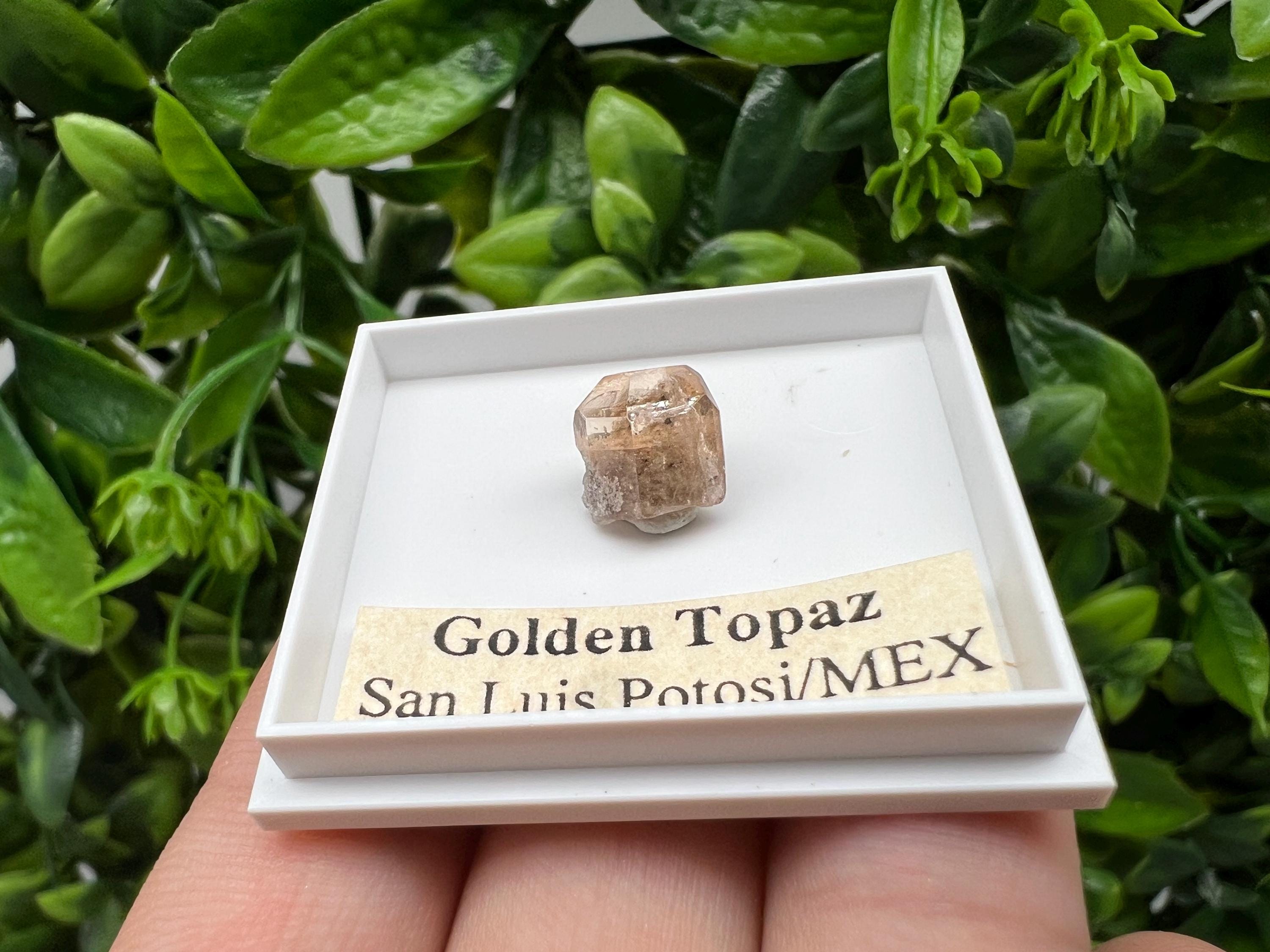 Beautiful Golden Topaz from Mexico,collection piece Crystal,Mineral,collectibles,Collectors, Natural Crystal, Minerals from Mexico,original,