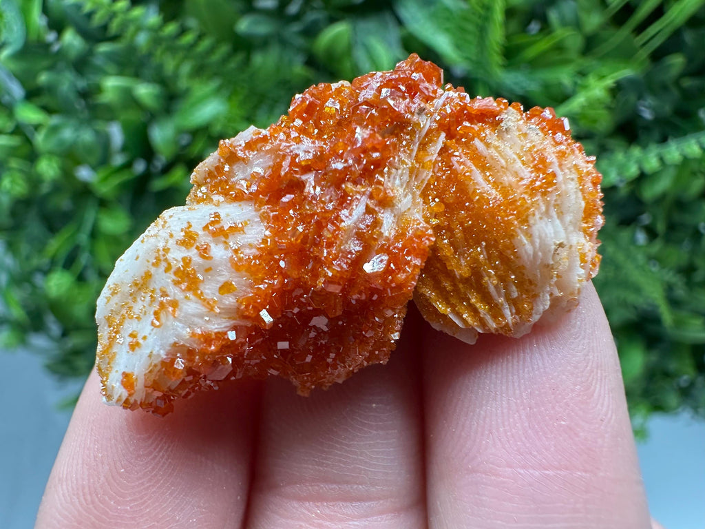 Red Vanadinite on Barite, Moroccan Crystal Specimen