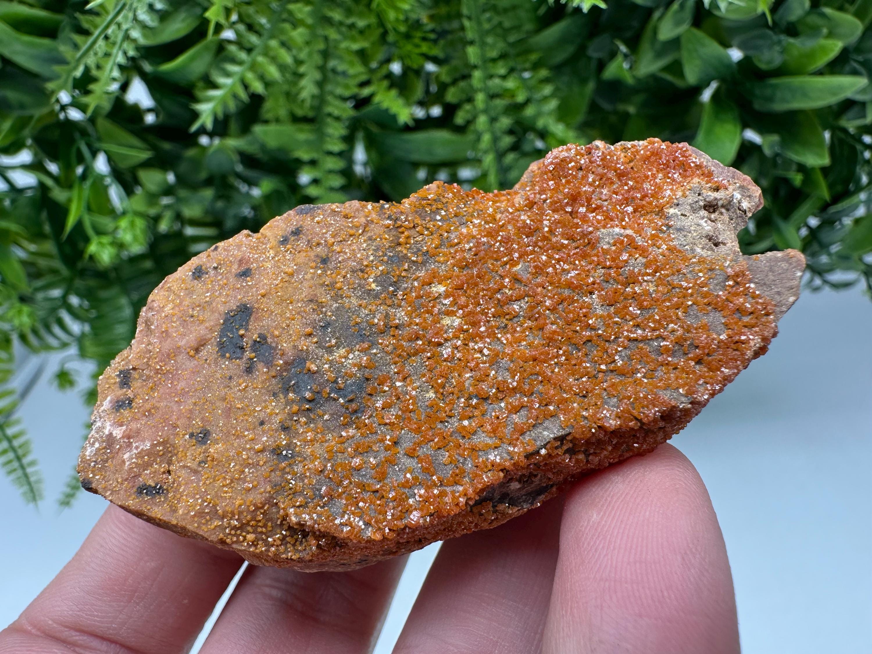 Red Vanadinite on Matrix from Marocco,crystal minerals Speciment cluster Vanadinite crystal Vanadinite Geology Vanadinite cluster minerals