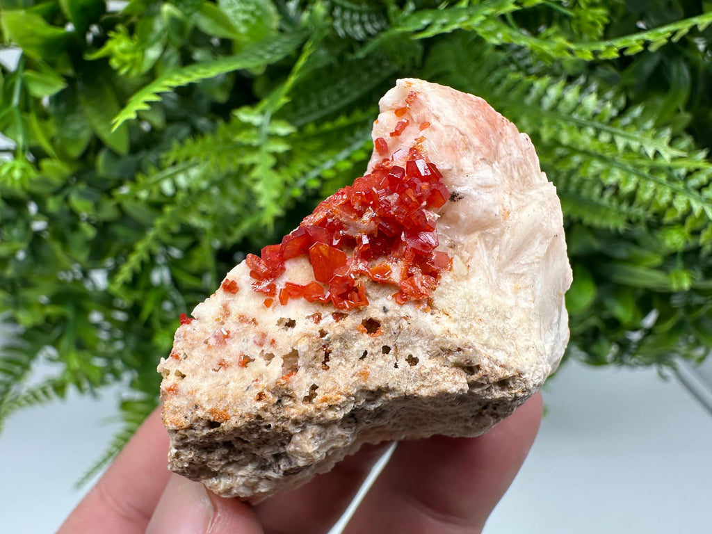 Red Vanadinite on Barite, Morocco Mineral Specimen