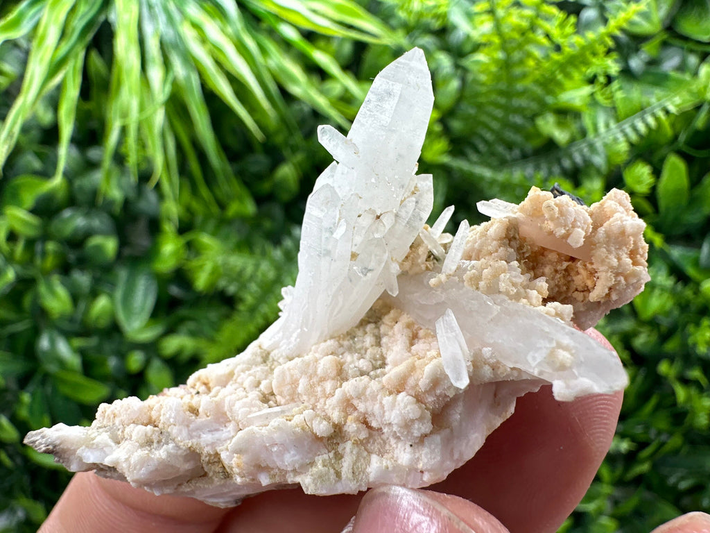 Quartz with Chlorite, Rhodochrosite & Siderite Mineral Specimen