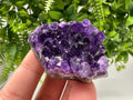 Uruguay Amethyst Crystal: Purple Quartz Home Decor, Energy Stone