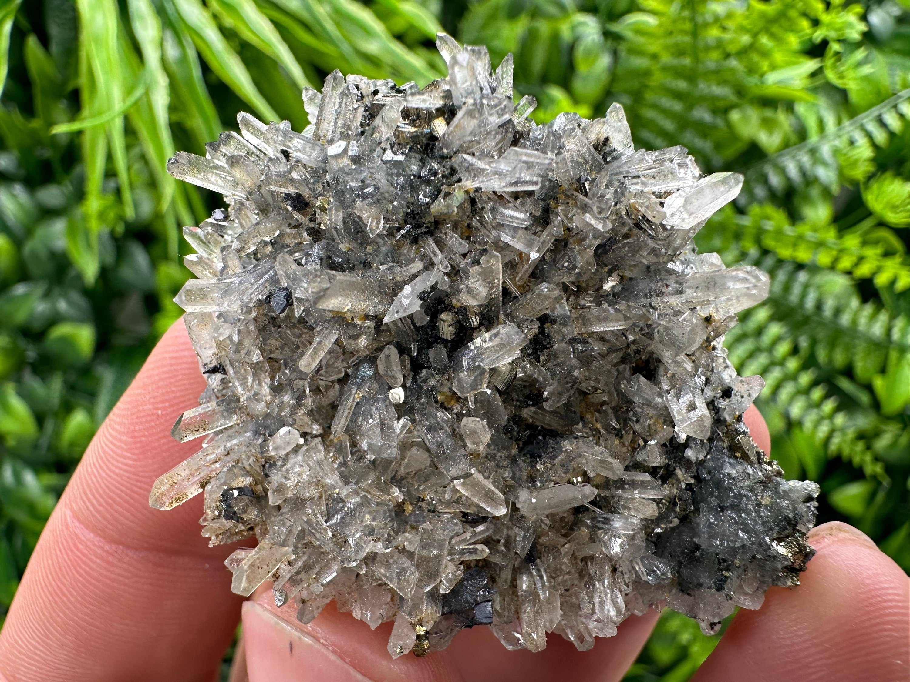 Pyrite Galena on Green Quartz, Chlorite Mineral Specimen, Bulgaria
