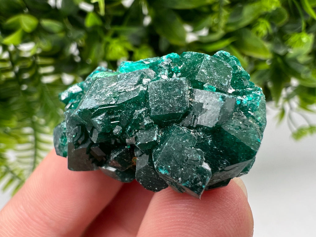 Green Dioptase Crystal Cluster, Sanda Hills Congo