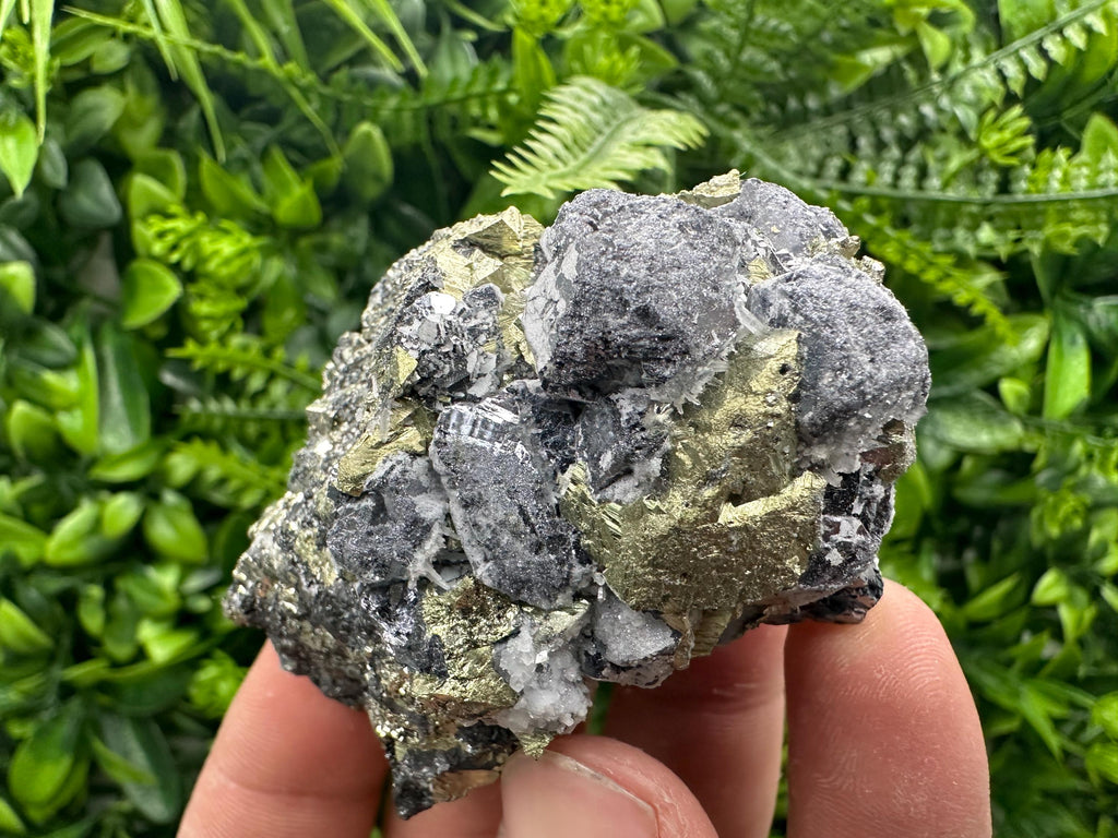 Chalcopyrite with Galena Mineral Specimen: Krushev Dol Mine, Bulgaria