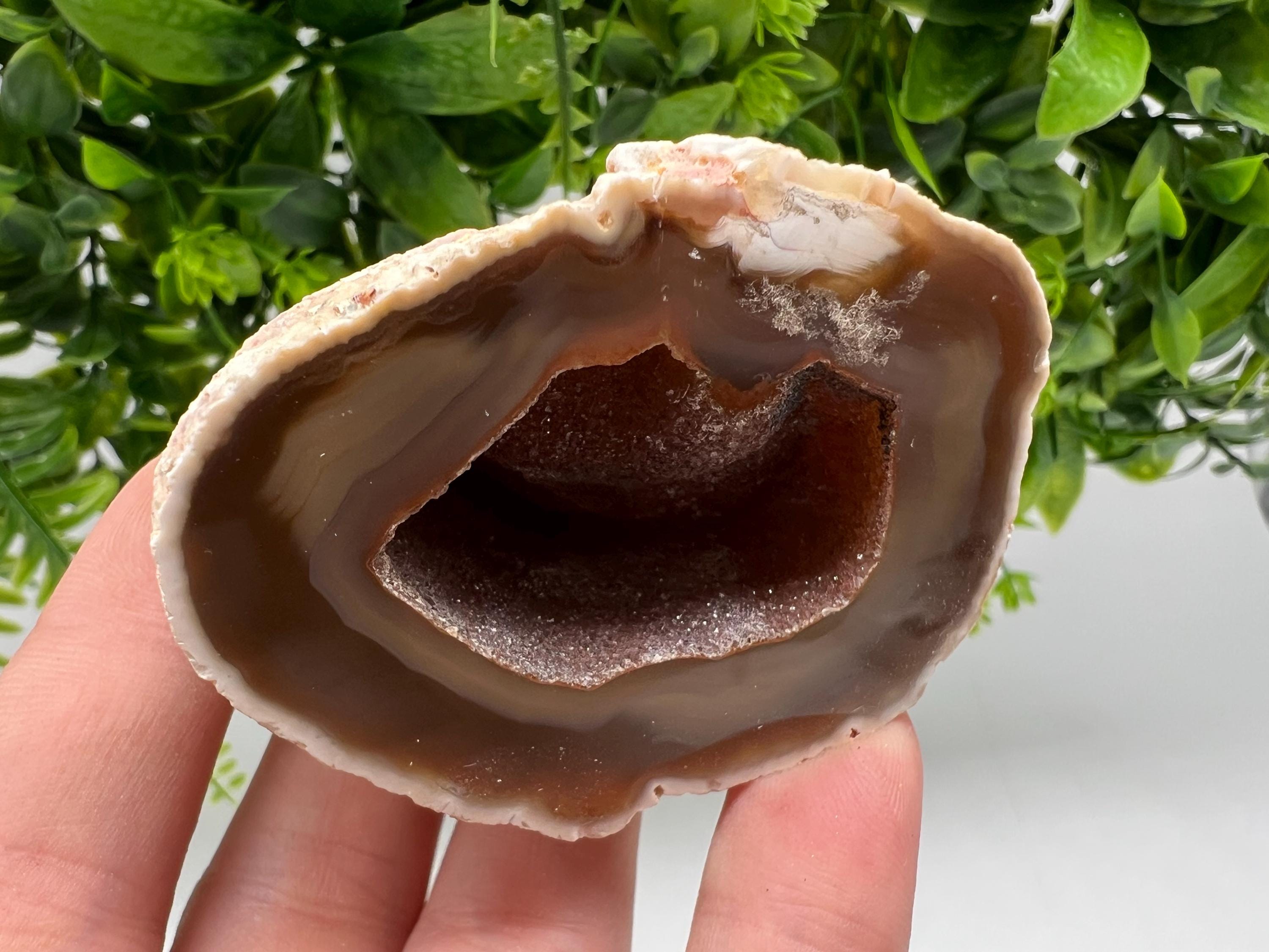 Natural Agate Druzy Geode, Brown and White Crystal, 141 grams
