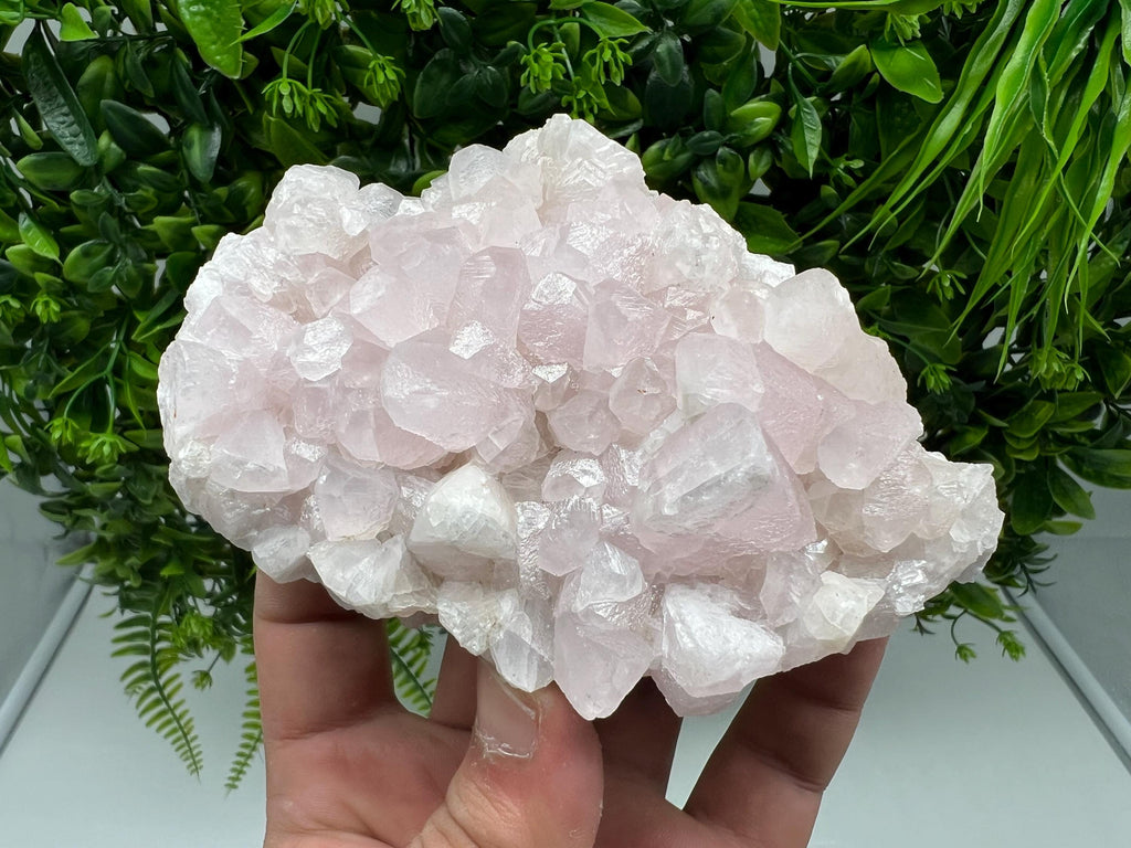 UV Reactive Mangano Calcite Crystal: Androvo Mine, Bulgaria