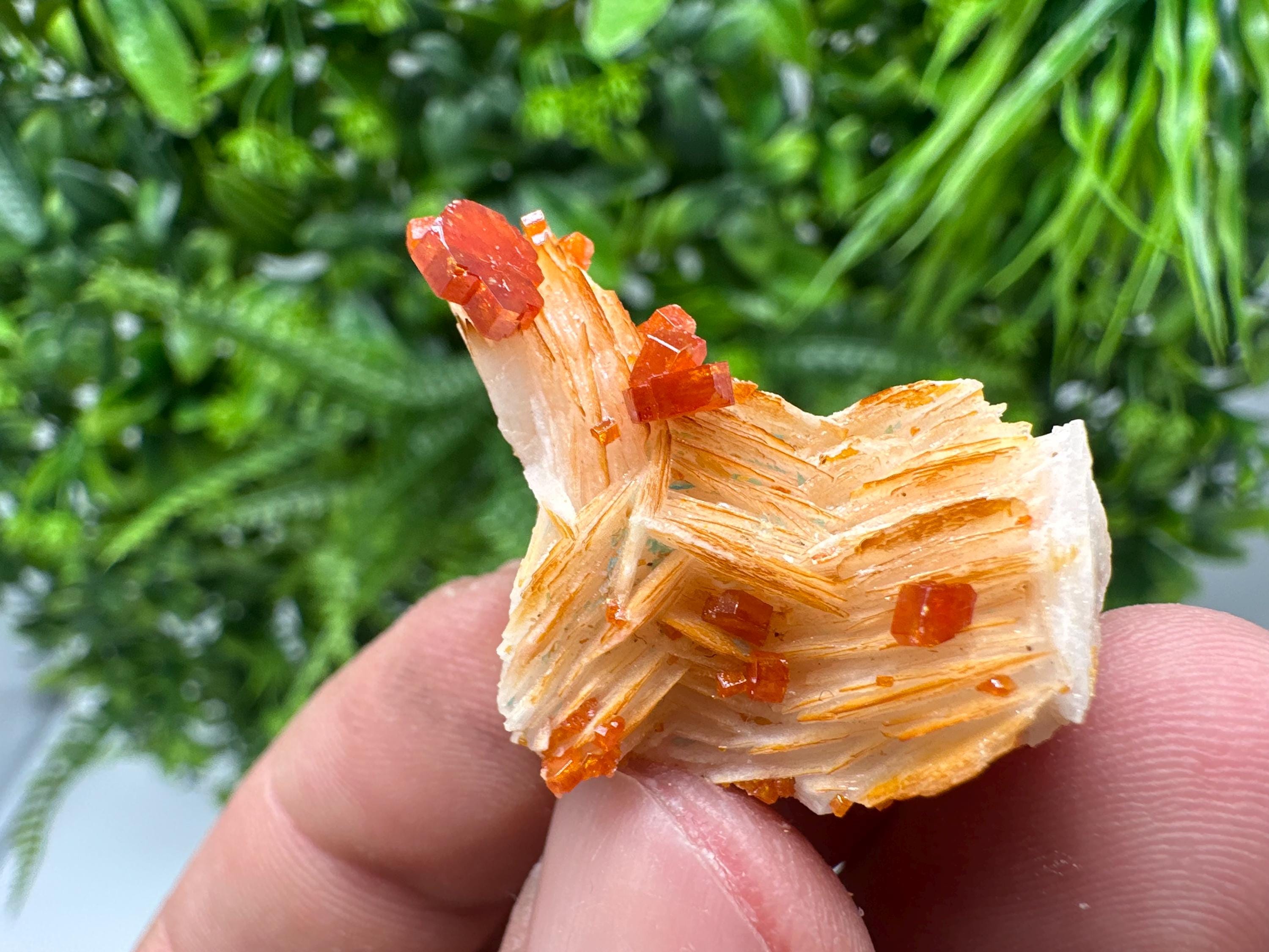 Red Vanadinite on Barite from Marocco,crystal minerals Speciment cluster Vanadinite crystal Vanadinite Geology Vanadinite cluster minerals