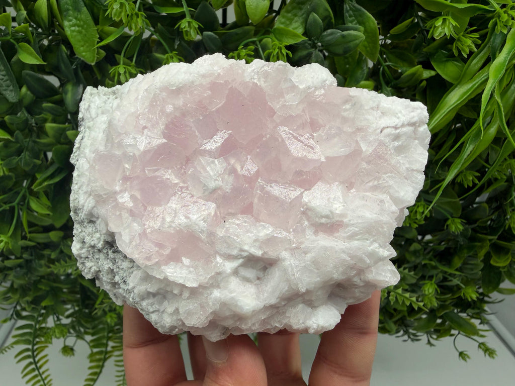 Mangano Calcite with Galena, Borieva Mine, Bulgaria