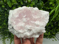 Mangano Calcite with Galena, Borieva Mine, Bulgaria