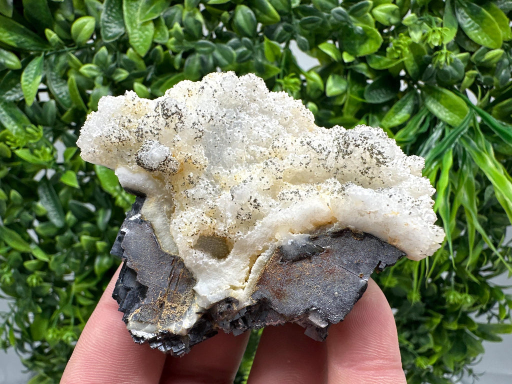 Galena Marcasite on Chalcedony: Androvo Mine Bulgaria Crystal