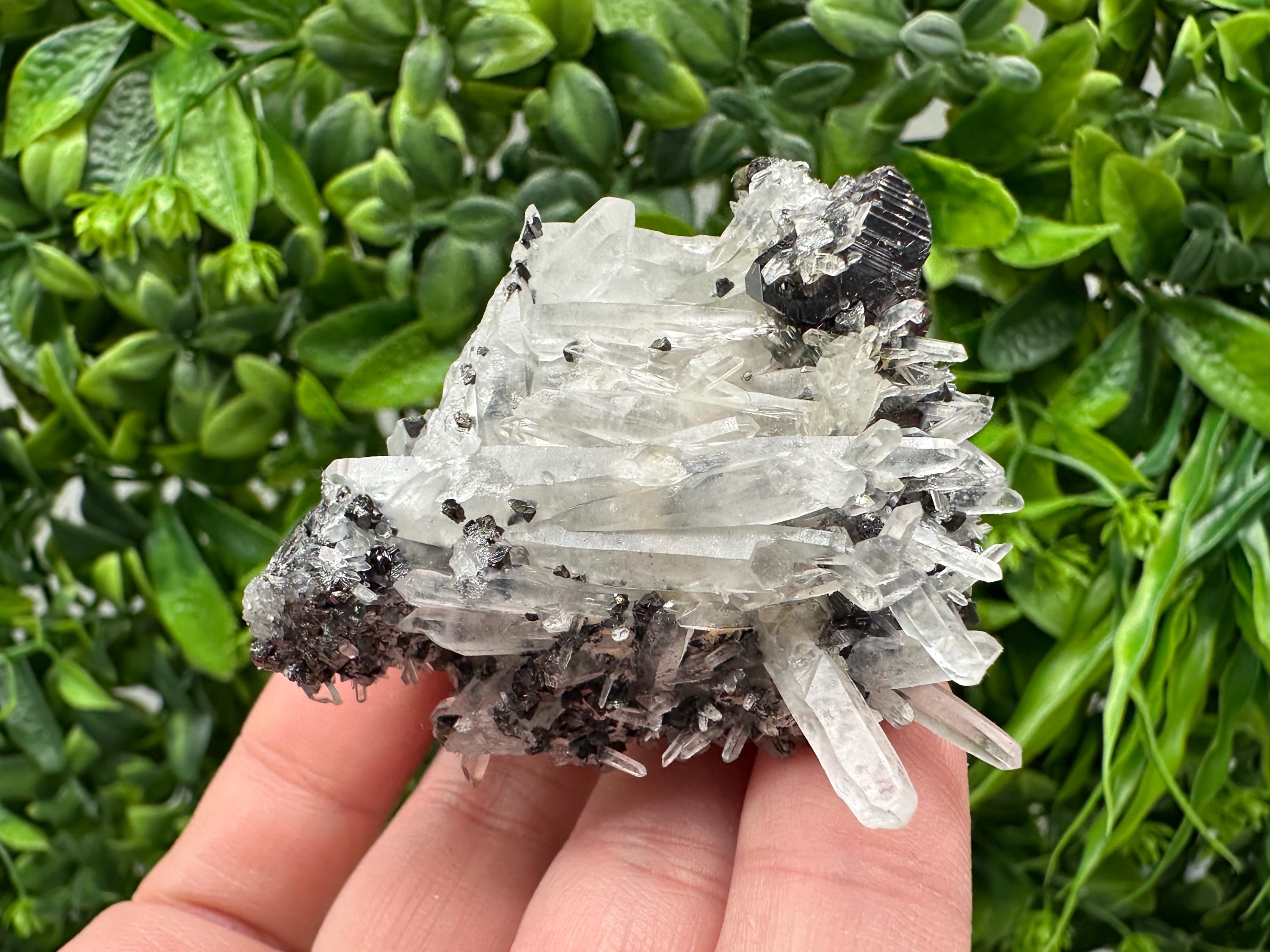 Wonderful Sphalerite Chalcopyrite on  Quartz whit Galena feom 9 th September mine,Bulgaria,natural,collection mineral specimen,gift