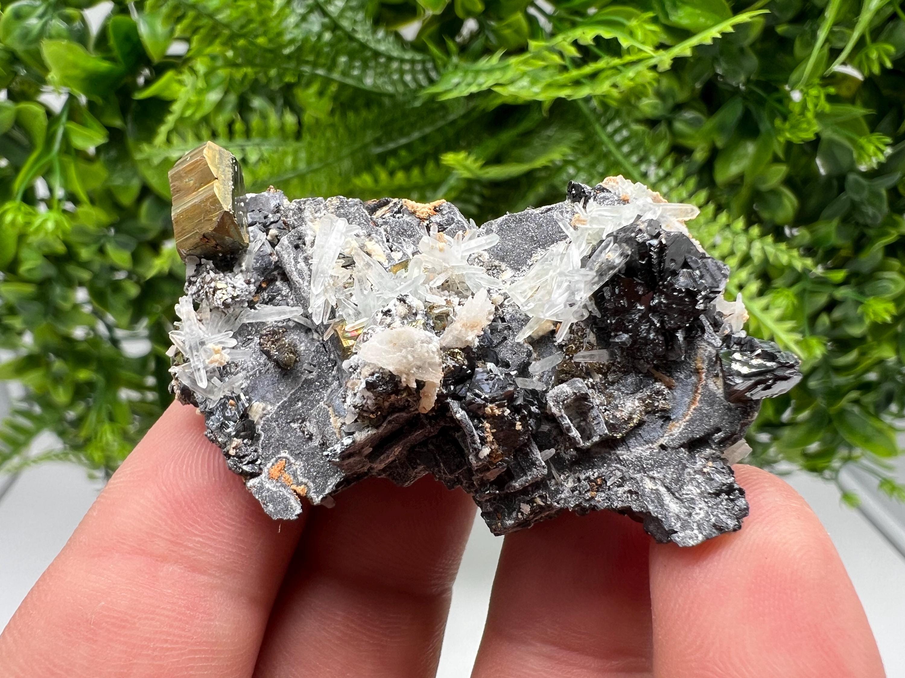 Skeleral Galena, Pyrite, Quartz Mineral Specimen, Madan Bulgaria