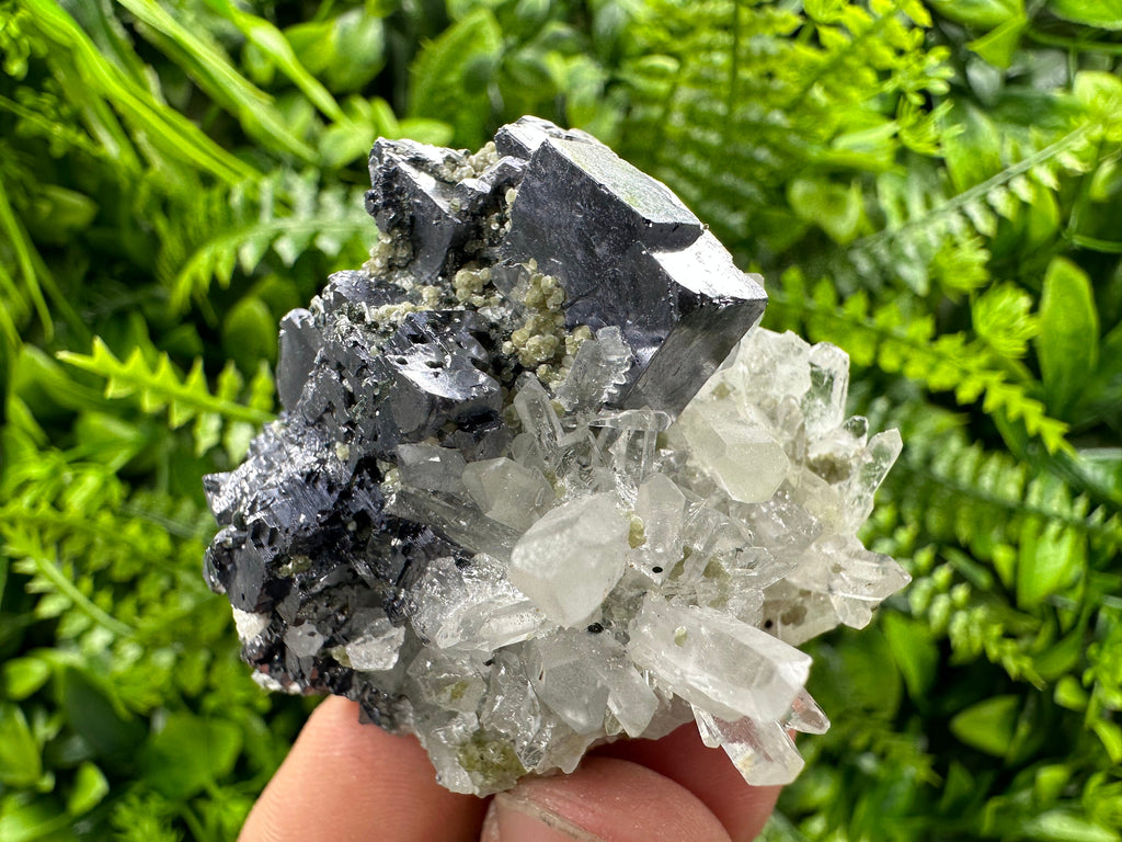 Galena on Quartz: Borieva Mine Crystal Souvenir