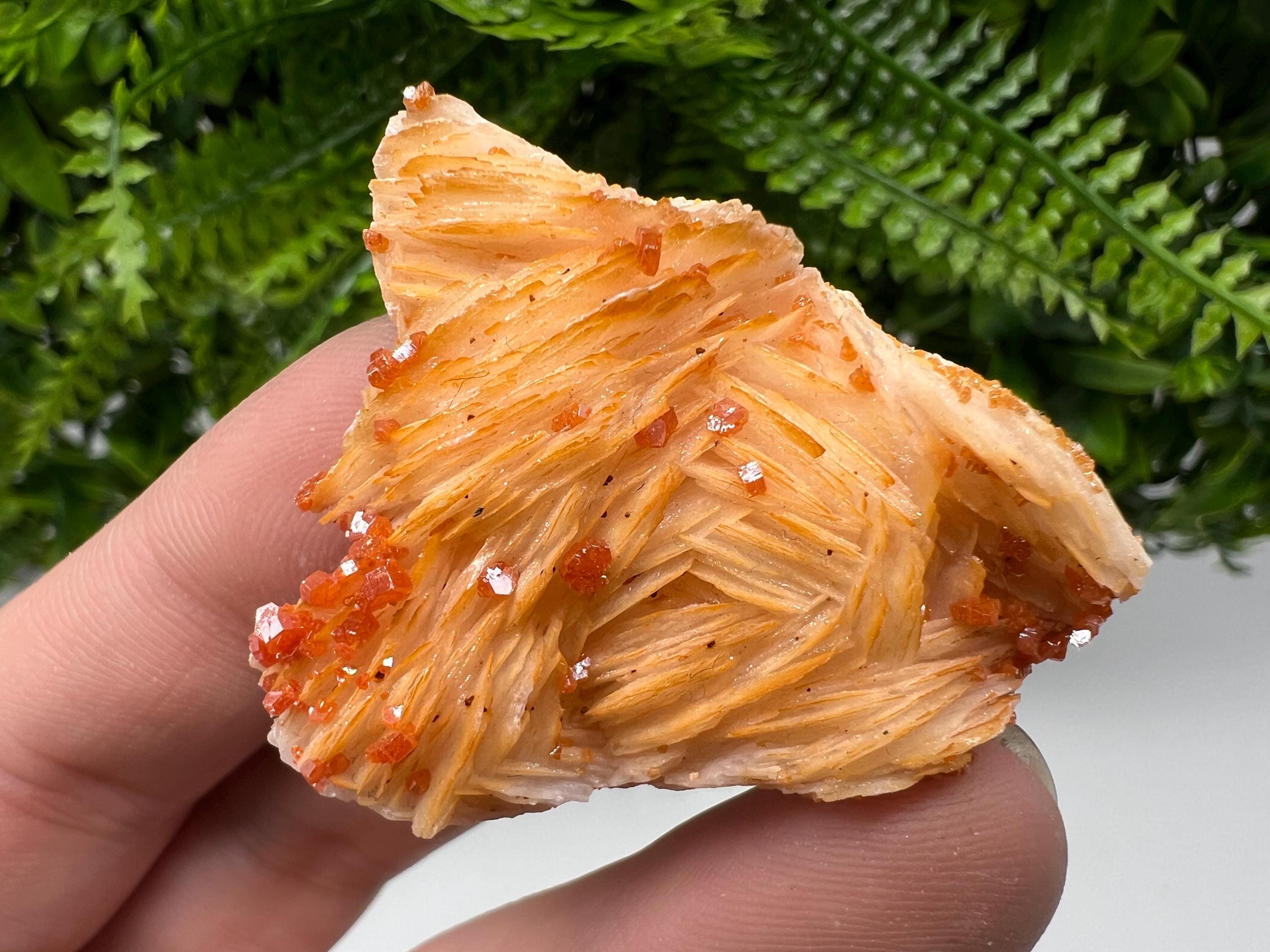 Red Vanadinite on Barite from Marocco,crystal minerals Speciment cluster Vanadinite crystal Vanadinite Geology Vanadinite cluster minerals