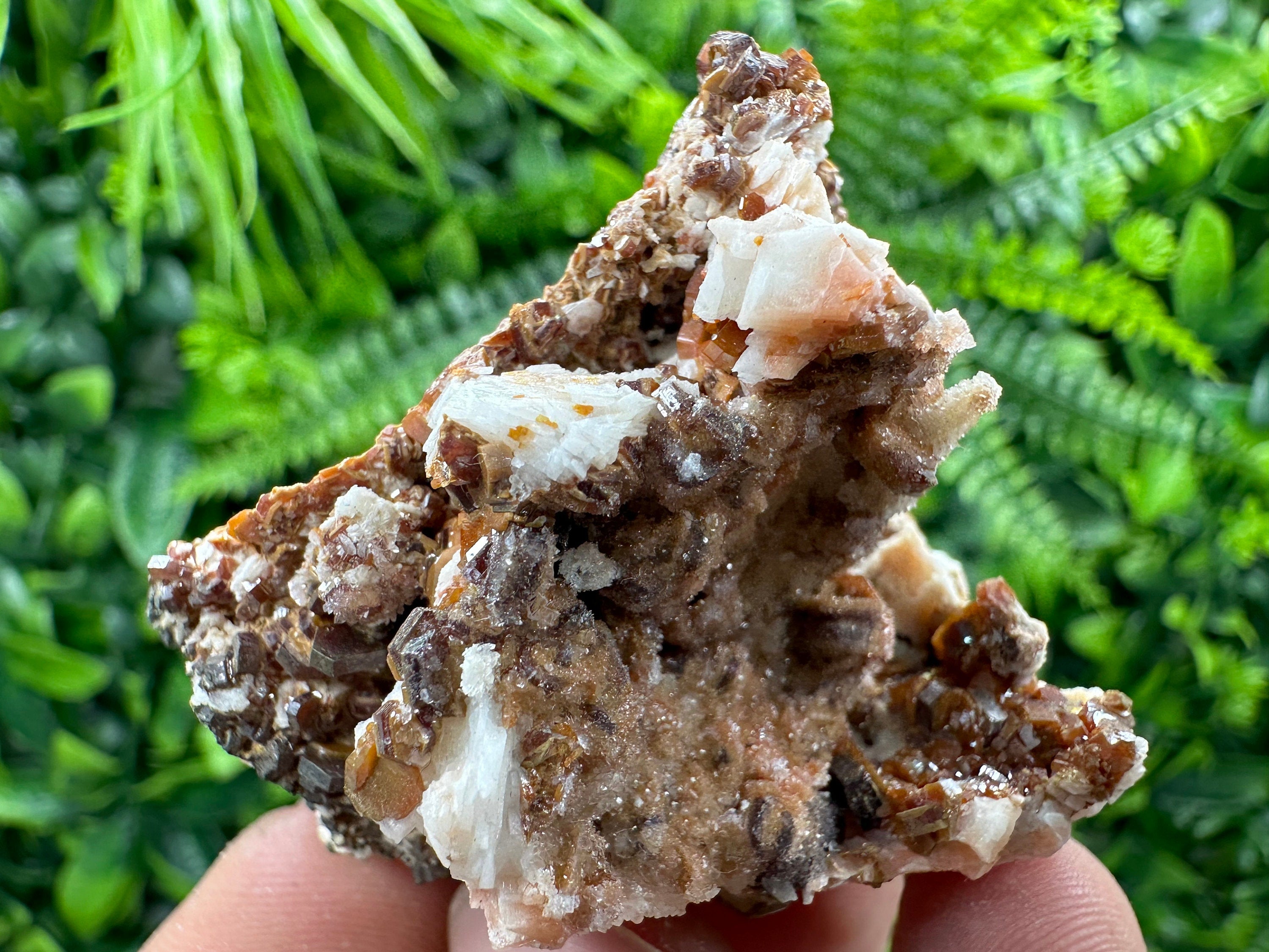 Red Vanadinite Crystal Cluster on Matrix, Morocco Specimen