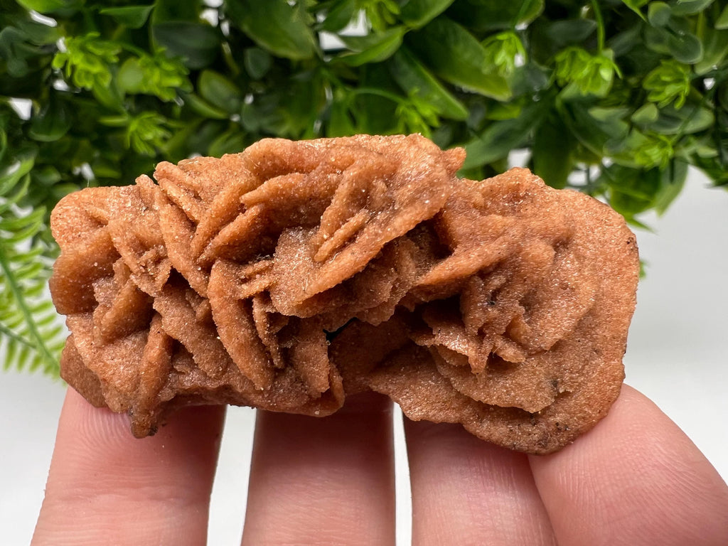 Desert Rose Crystal: Root Chakra Healing Selenite Stone