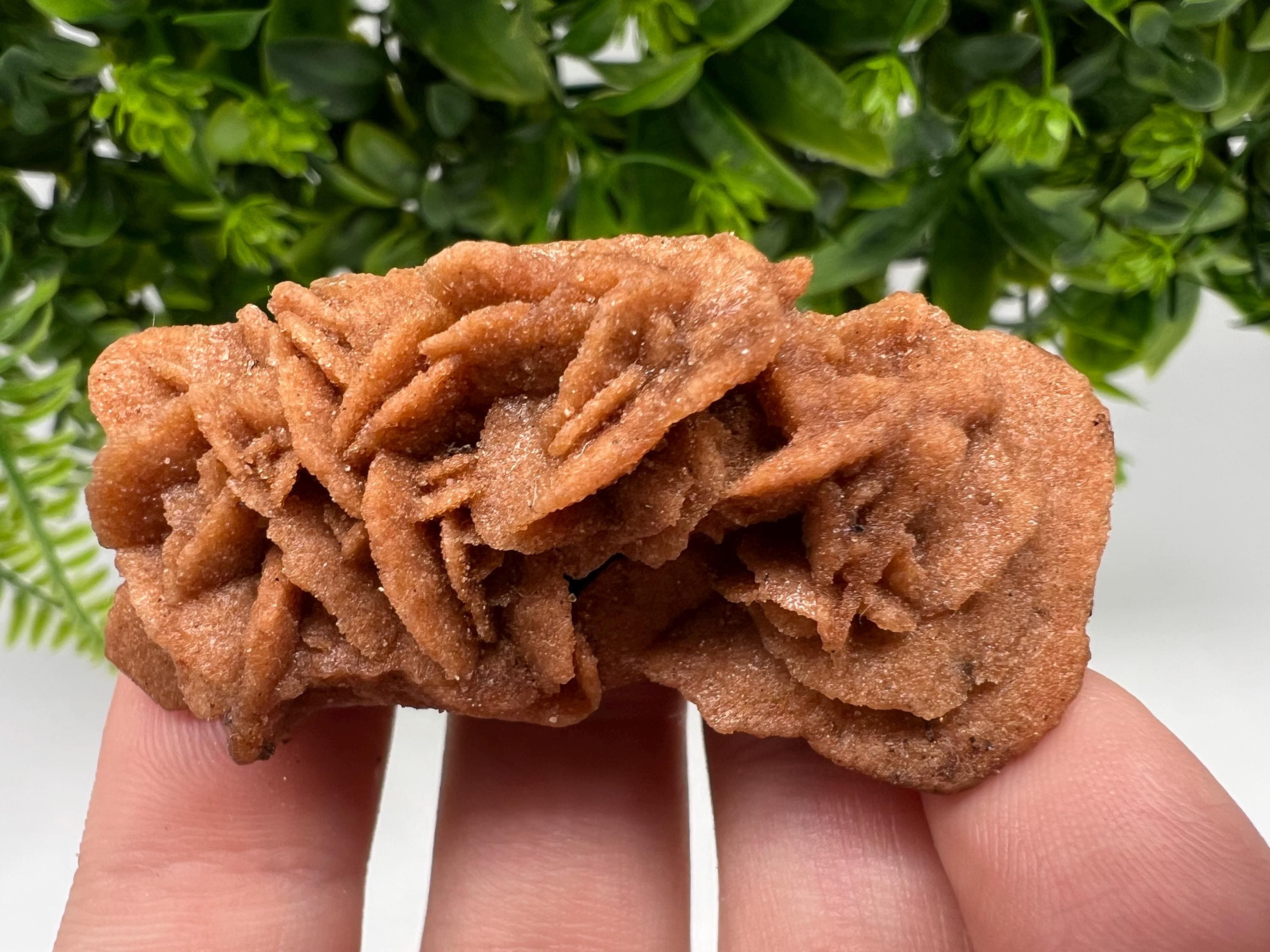 Desert Rose Crystal: Root Chakra Healing Selenite Stone