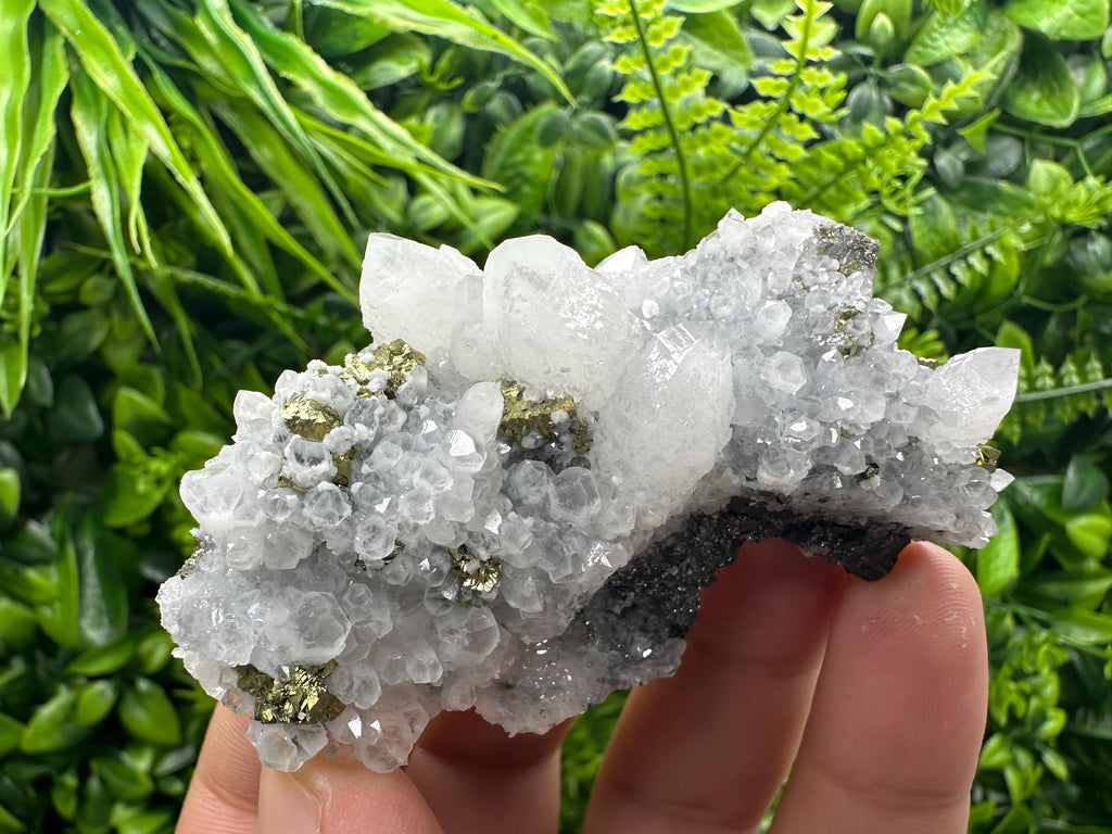 Chalcopyrite on Quartz Cluster, Krushev Dol Mine, Bulgaria, Mineral Specimen