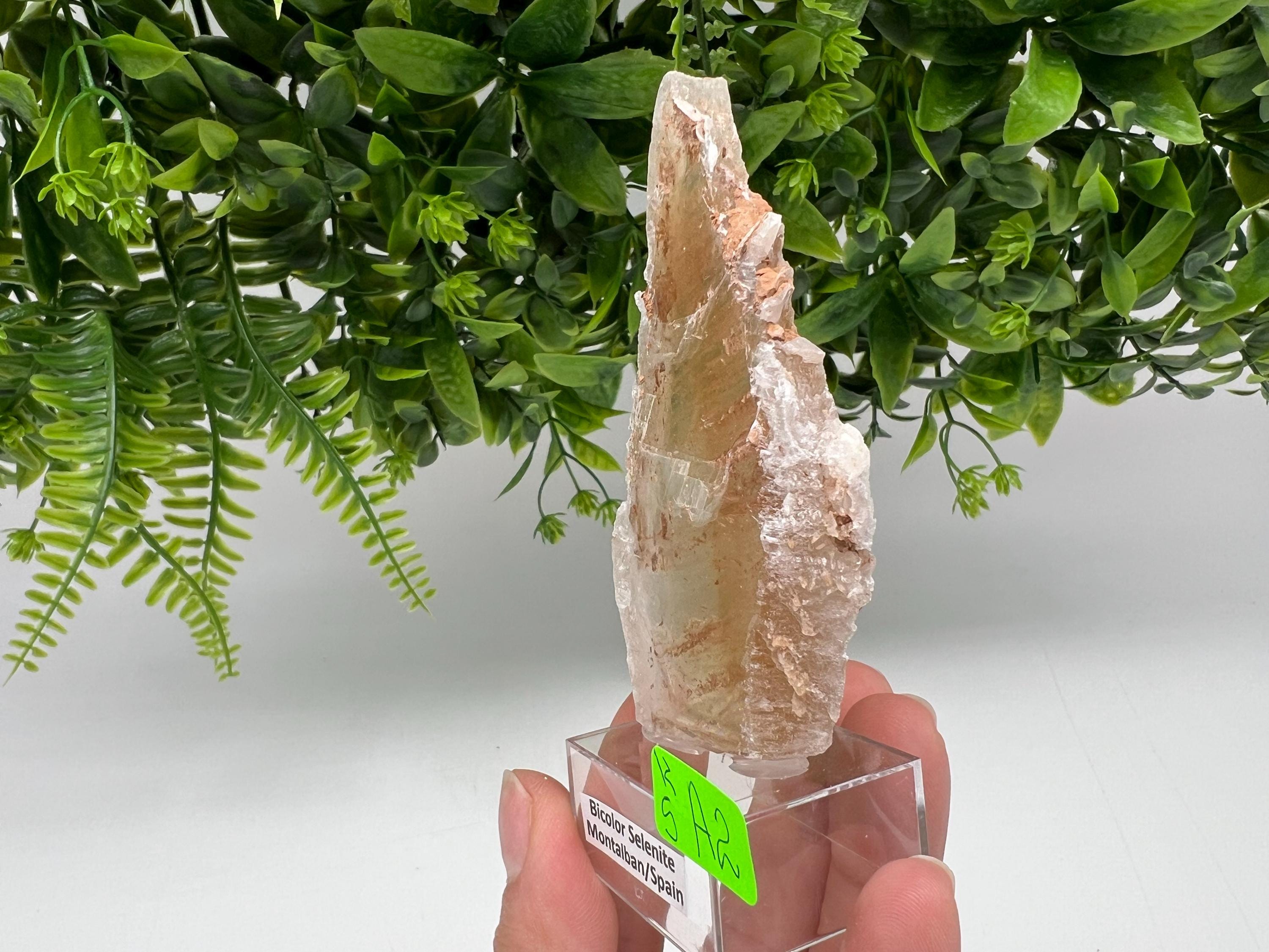 Golden Phantom Selenite Slab: Utah Raw Crystal Wand (4.5/9cm)