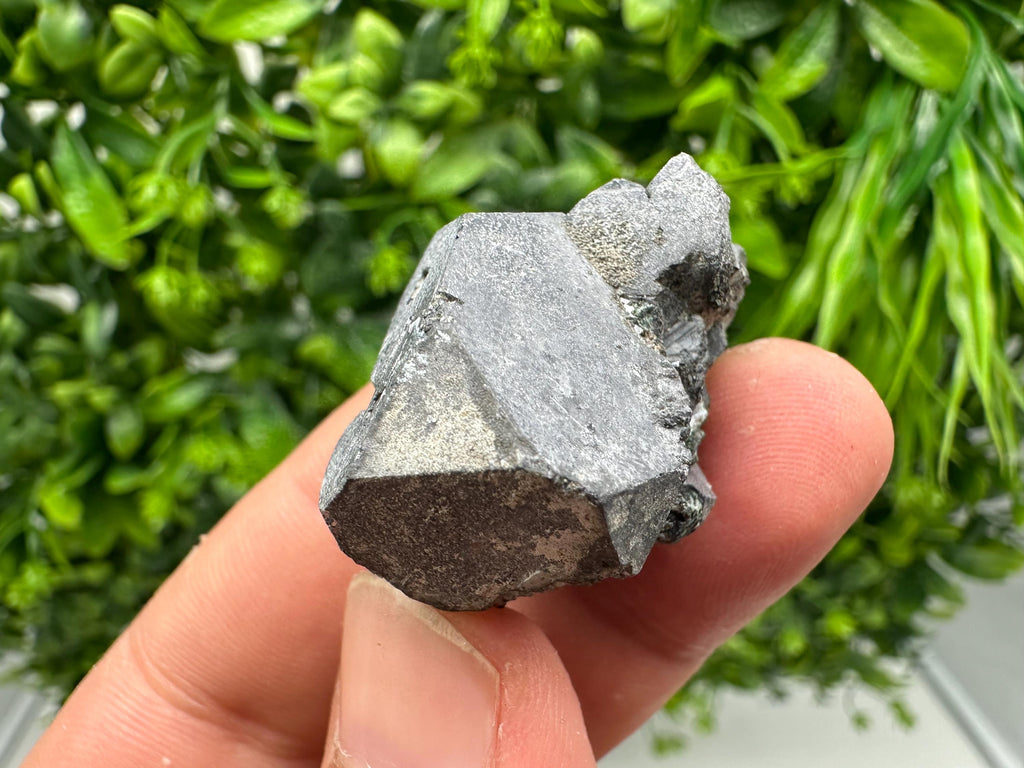 Shiny Galena Cluster - Borieva Mine, Bulgaria