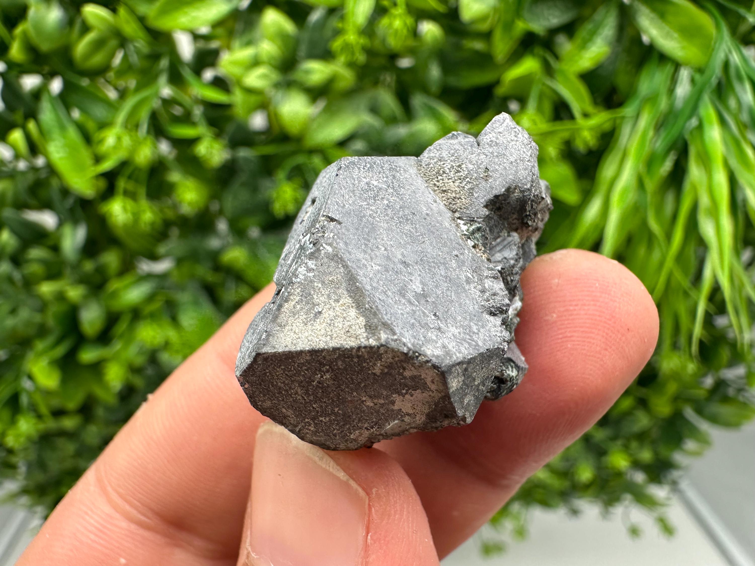 Shiny Galena Cluster - Borieva Mine, Bulgaria