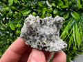 Pyrite on Green Quartz Mineral Specimen, Borieva Mine Bulgaria