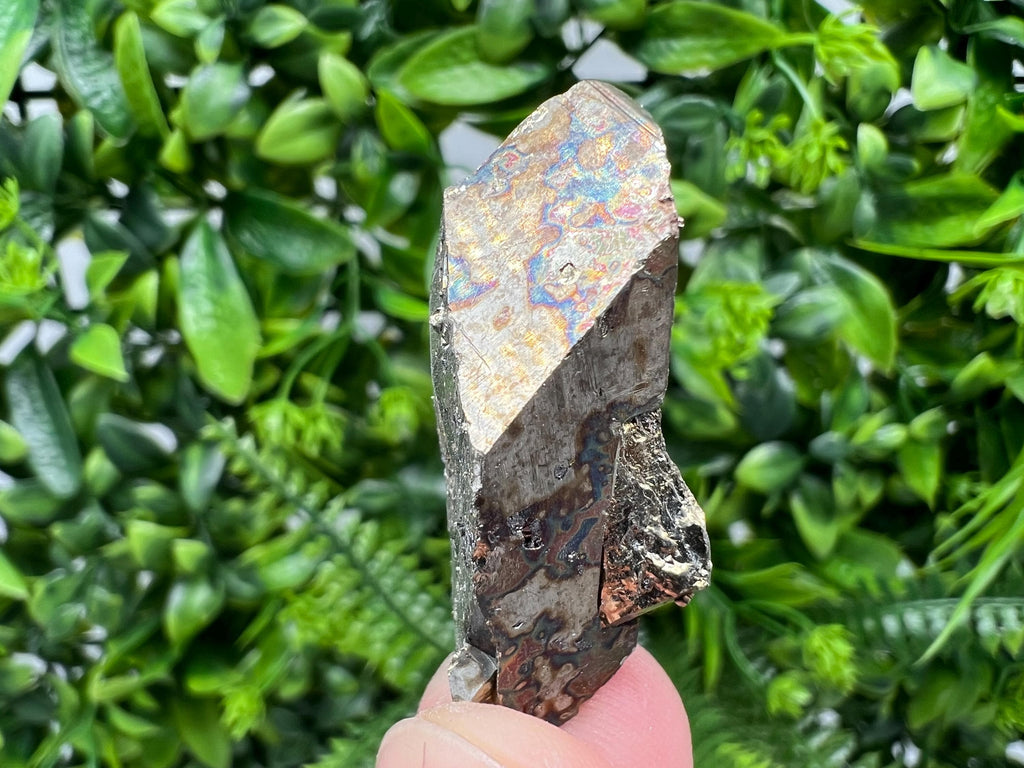 Rare Rainbow Pyrite Cluster: Borieva Mine, Bulgaria