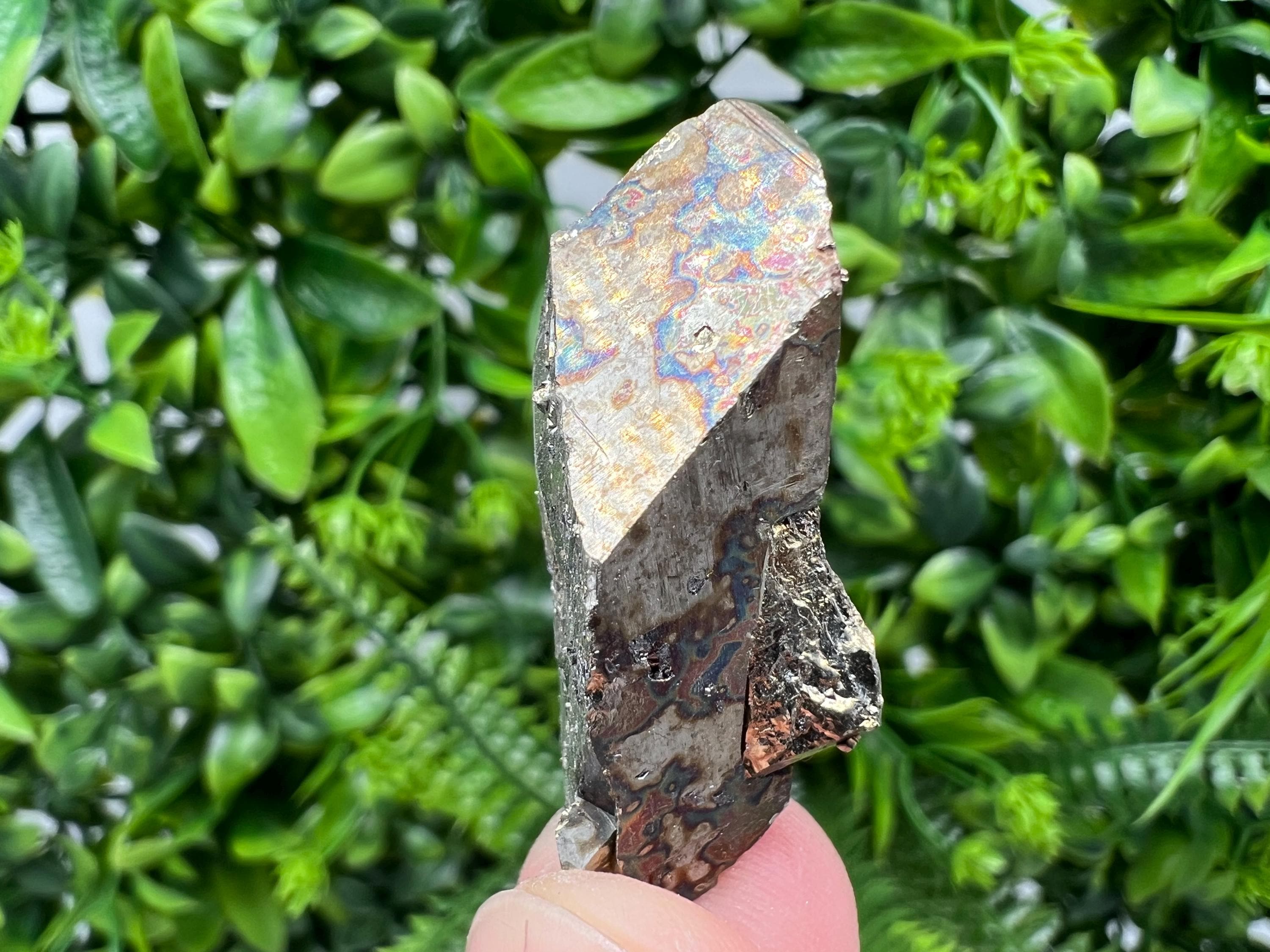 Rare Rainbow Pyrite Cluster: Borieva Mine, Bulgaria