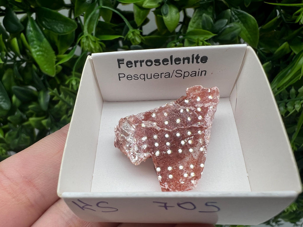 Rare Ferroselenite Crystal Specimen: La Pesquera, Spain (3/3 cm