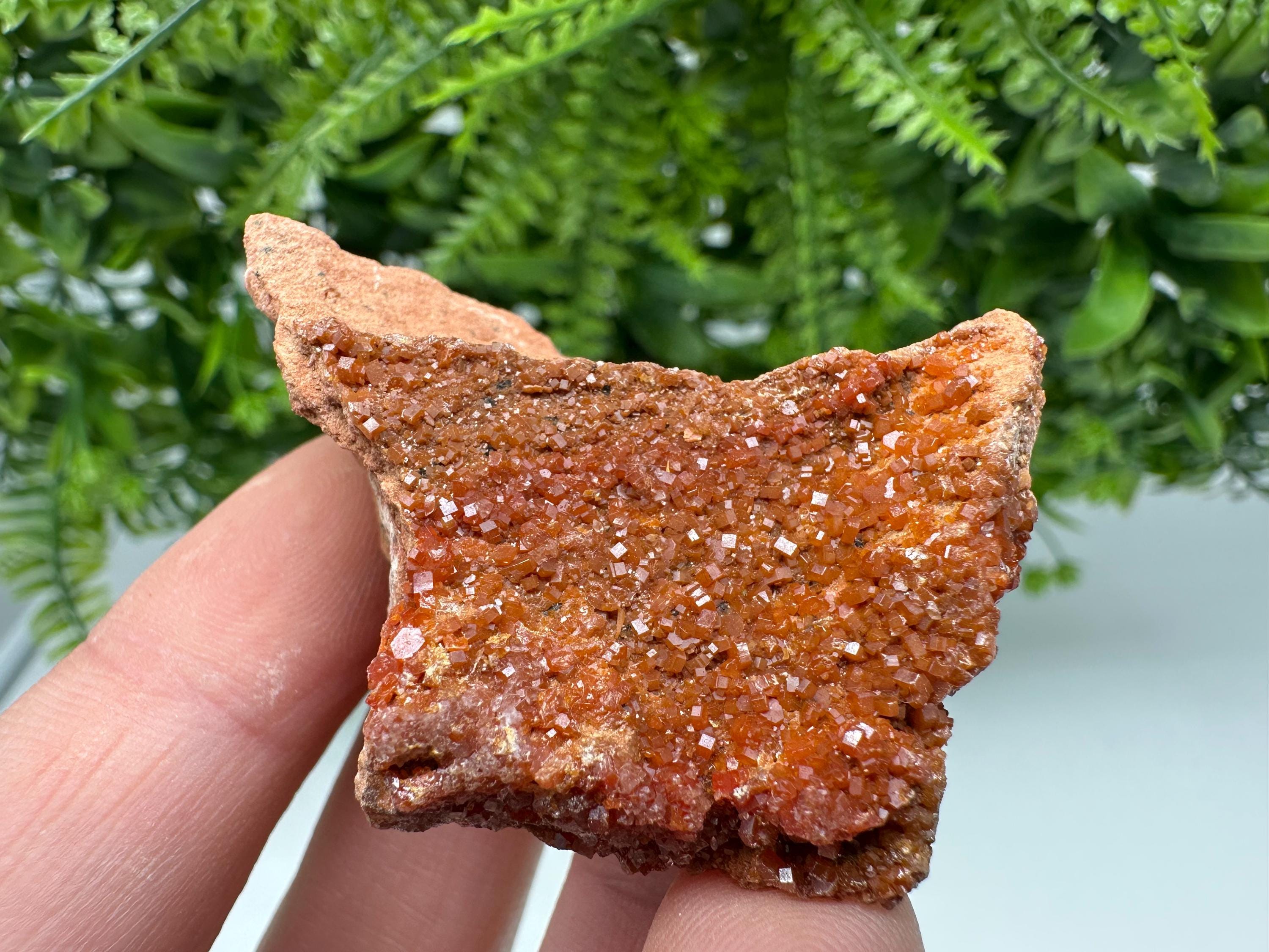 Red Vanadinite on Matrix from Marocco,crystal minerals Speciment cluster Vanadinite crystal Vanadinite Geology Vanadinite cluster minerals