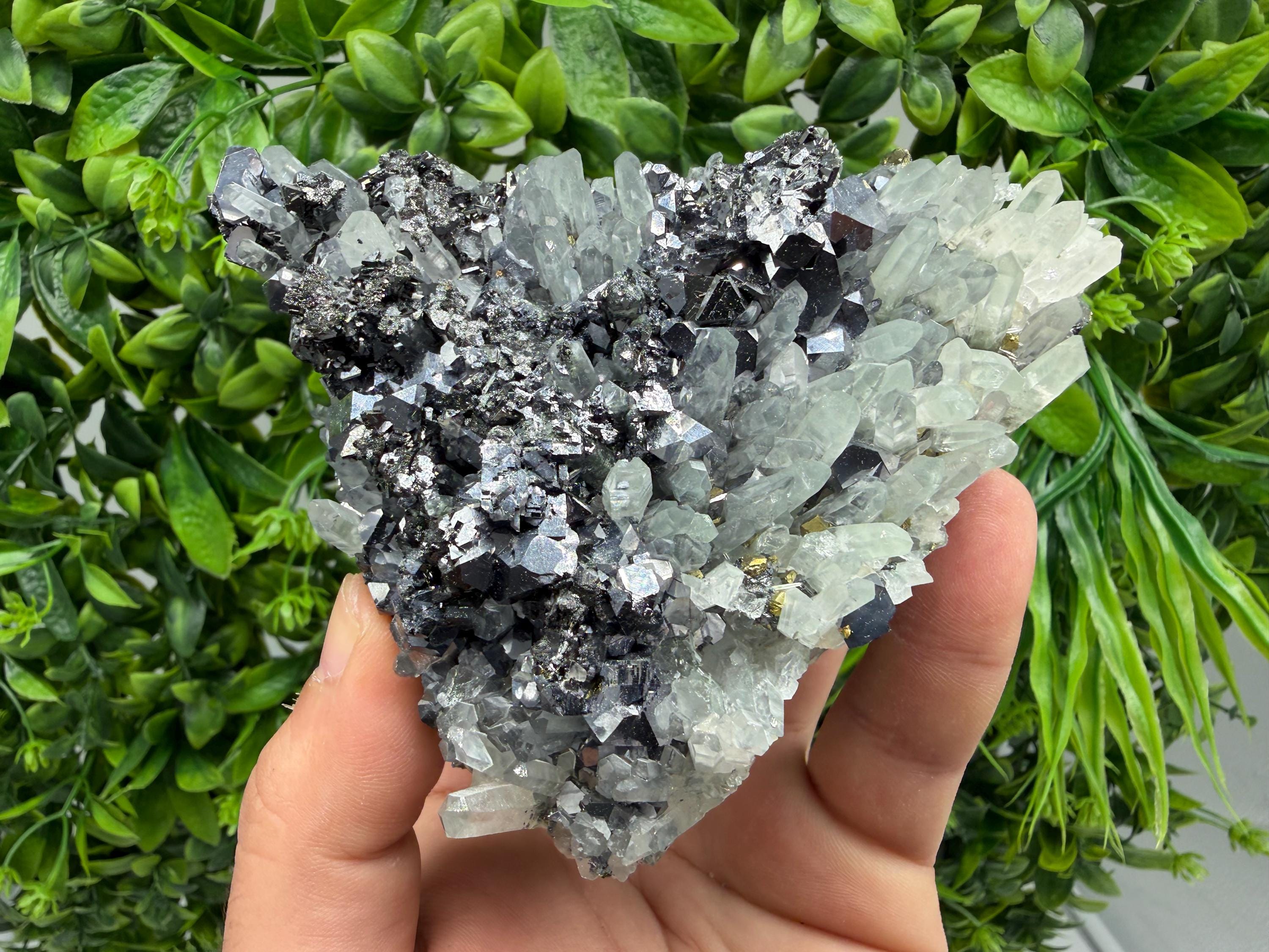 Galena Sphalerite Pyrite on Quartz, Borieva Mine, Bulgaria
