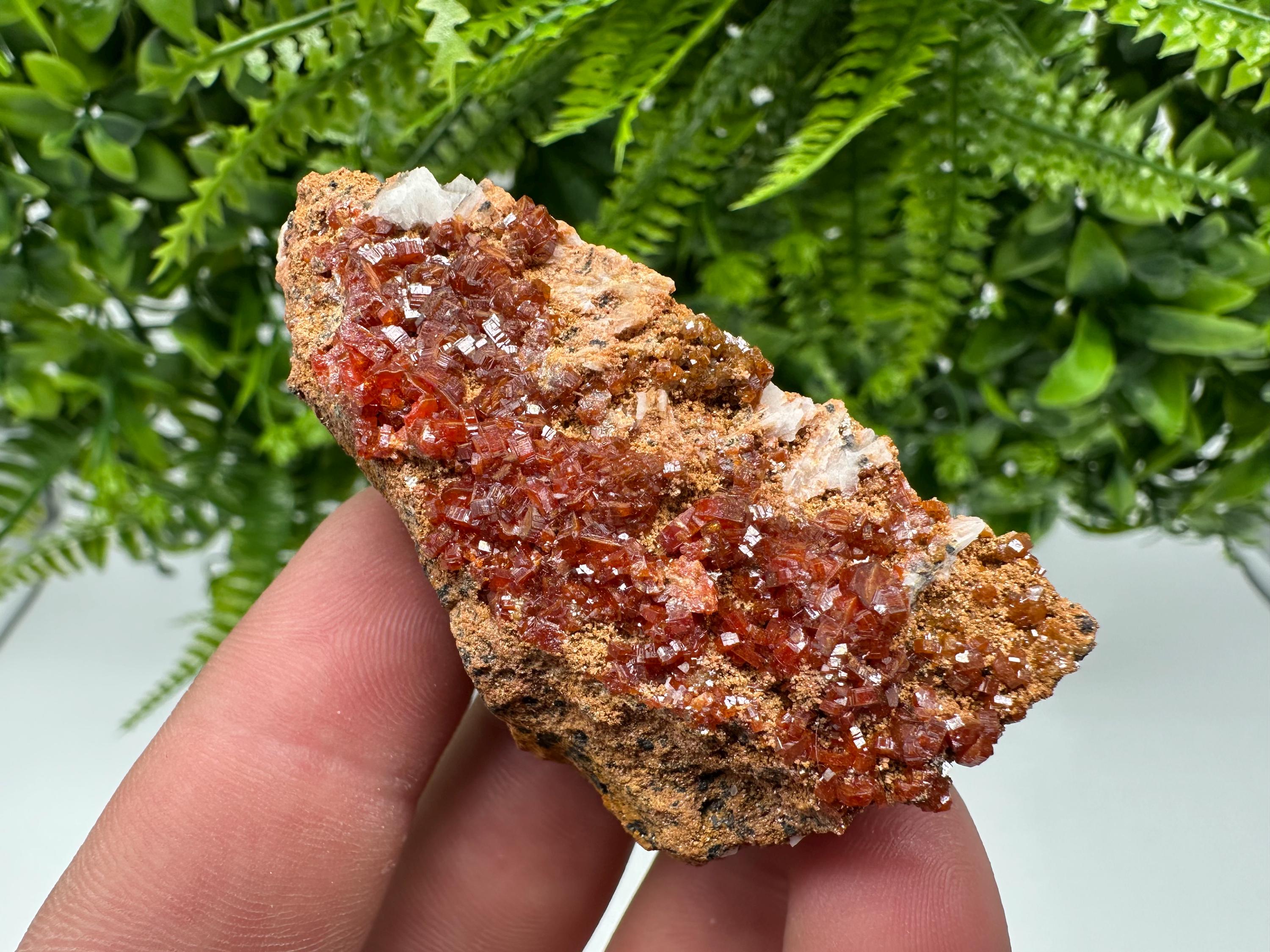 Red Vanadinite Crystal Cluster on Barite Matrix, Morocco Mineral Specimen