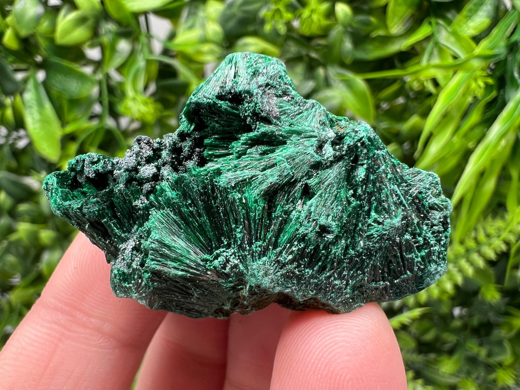 Malachite Crystal from Congo,Minerals,Crystals from Congo,Green Malachite, Malachite,Natural Malachite,Malachite Stone,Chakra, Specimens