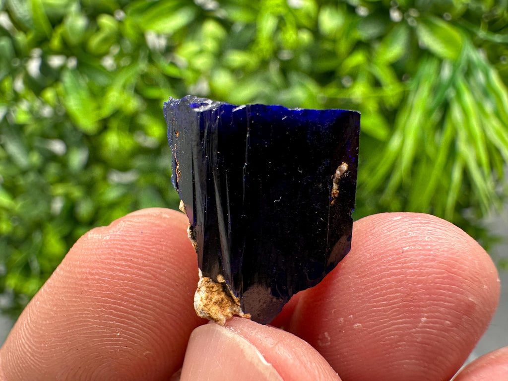 Crystallized Azurite-Kerrouchen,Morocco-Blue Azurite Specimen-High Quality Blue Azurite-Azurite Mineral Specimen, gemmy,lustrous of Azurite