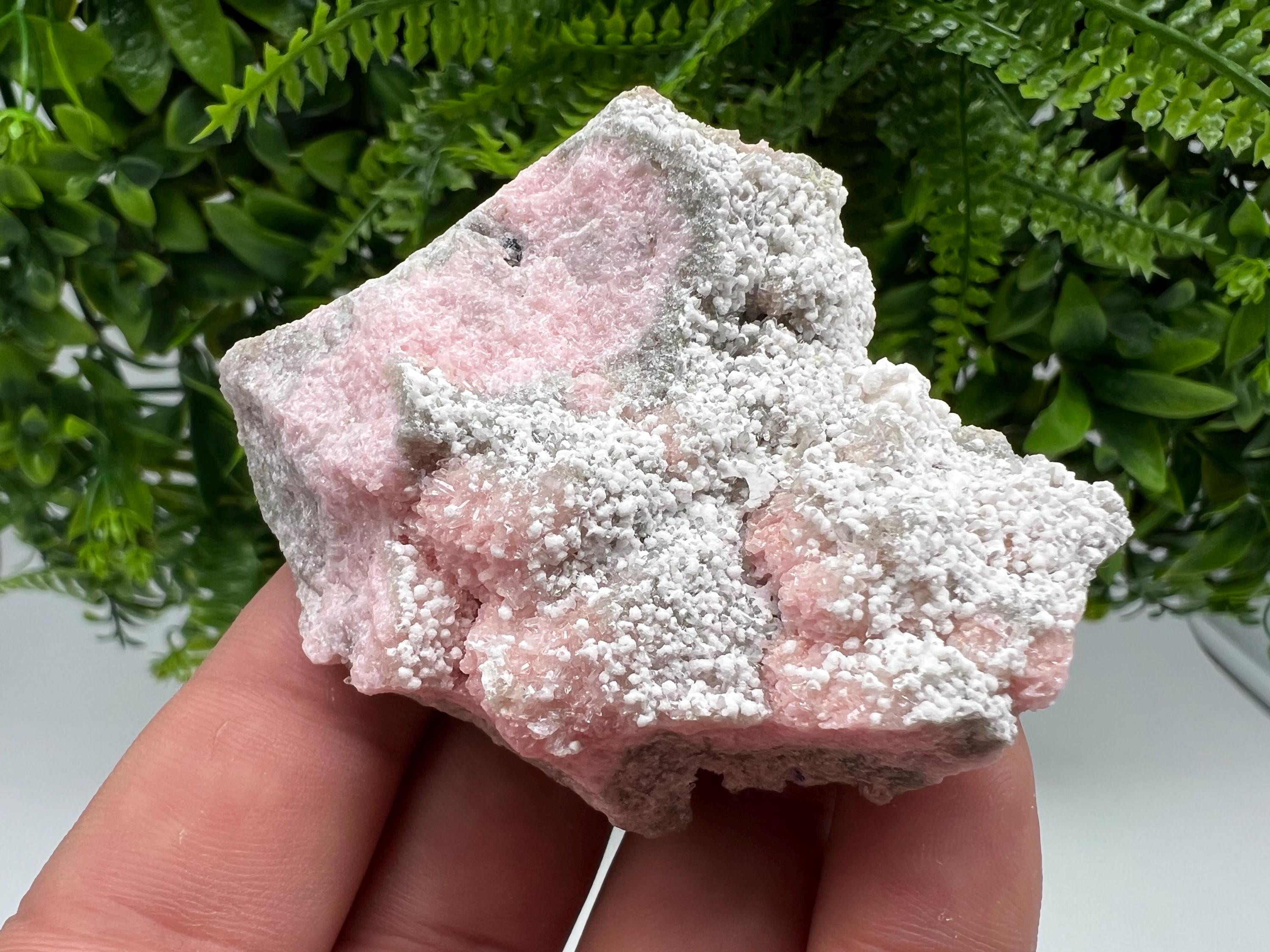 RARE Rhodochrosite with White Calcite, Starnica Mine, Bulgaria