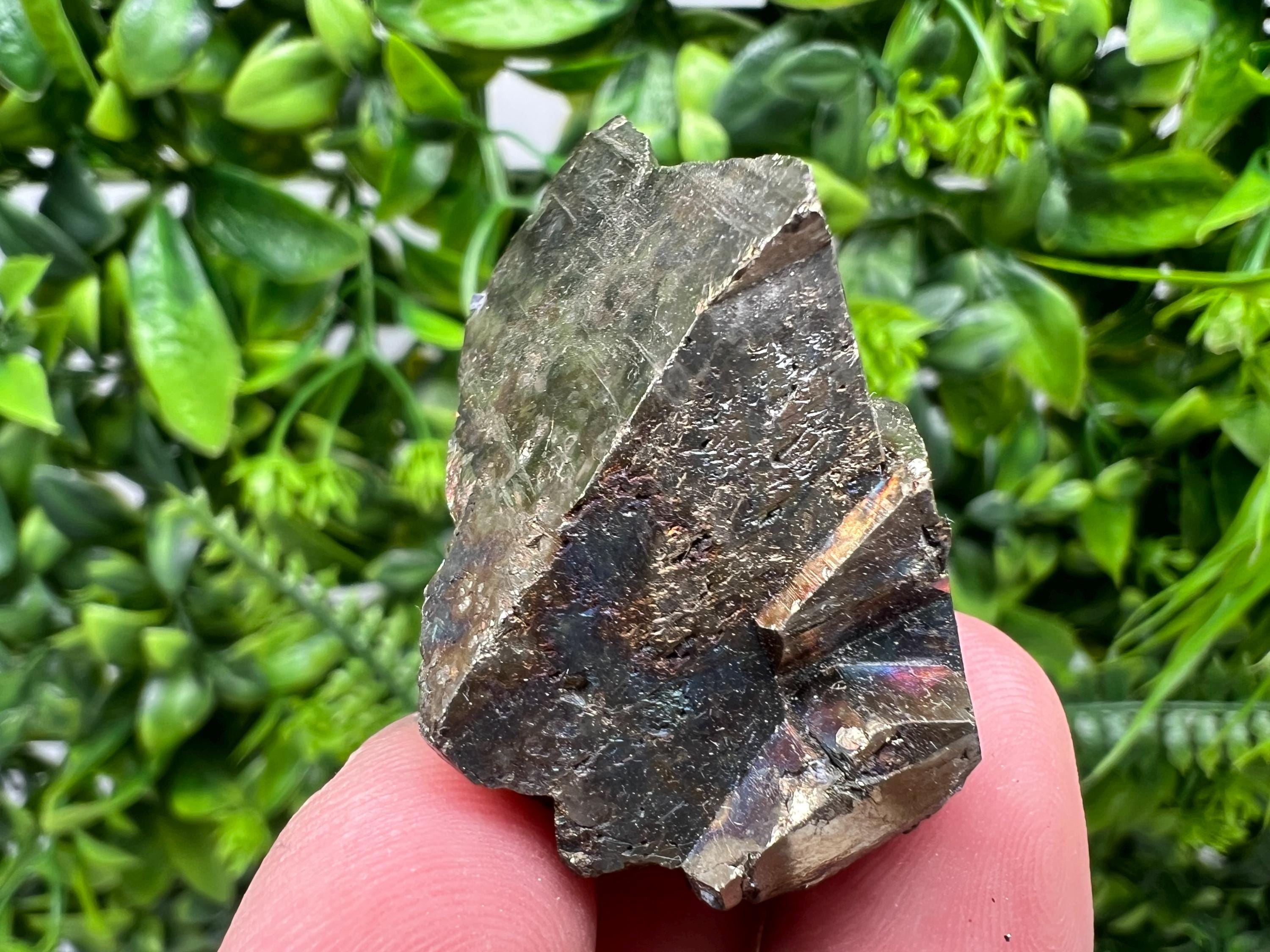 Rare Rainbow Pyrite Cluster: Borieva Mine, Bulgaria