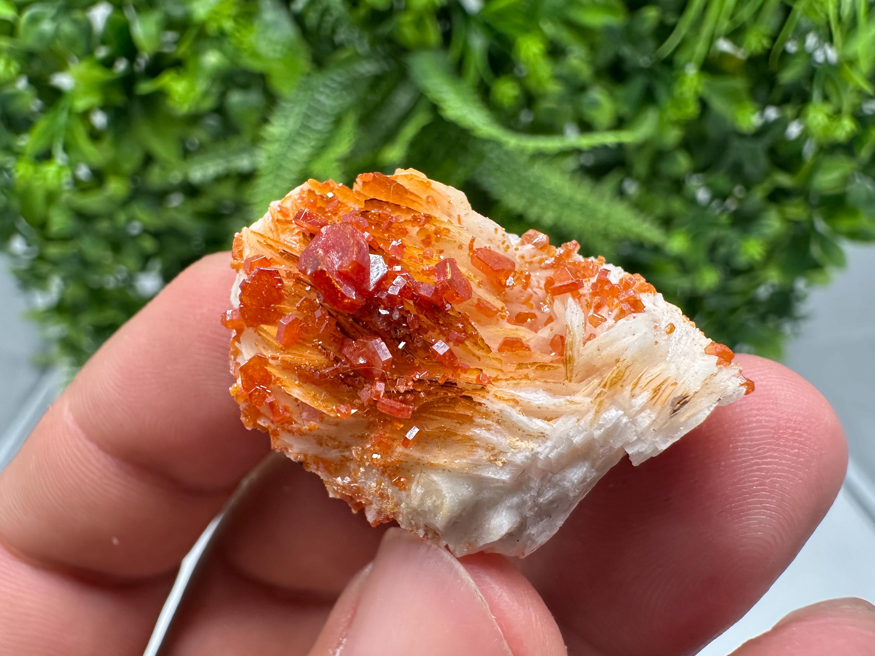 Red Vanadinite on Barite from Marocco,crystal minerals Speciment cluster Vanadinite crystal Vanadinite Geology Vanadinite cluster minerals