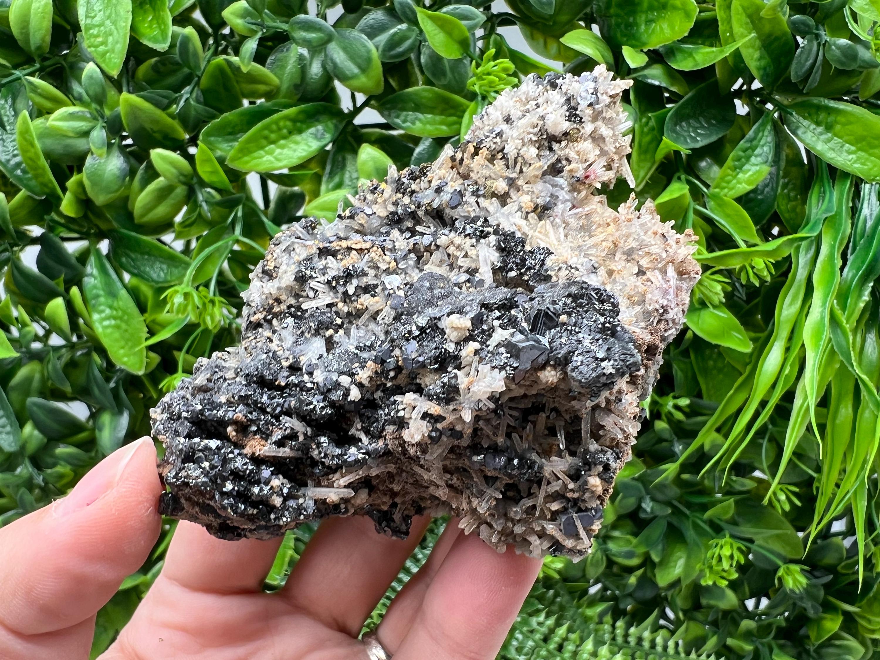 Aesthetic Natural shiny Galena whit Siderite and Quartz from 9 th September mine,Bulgaria,collection specimen,rare galena,Galena cluster