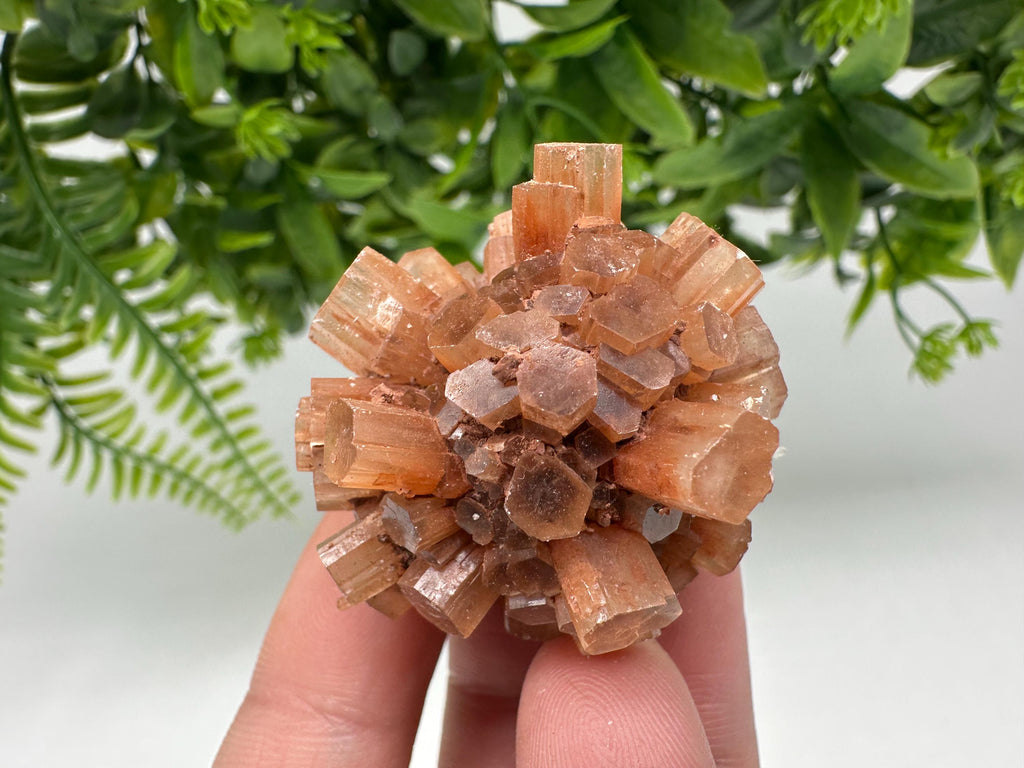 Aragonite Sputnik Cluster: Raw Moroccan Crystal Stone, Home Decor