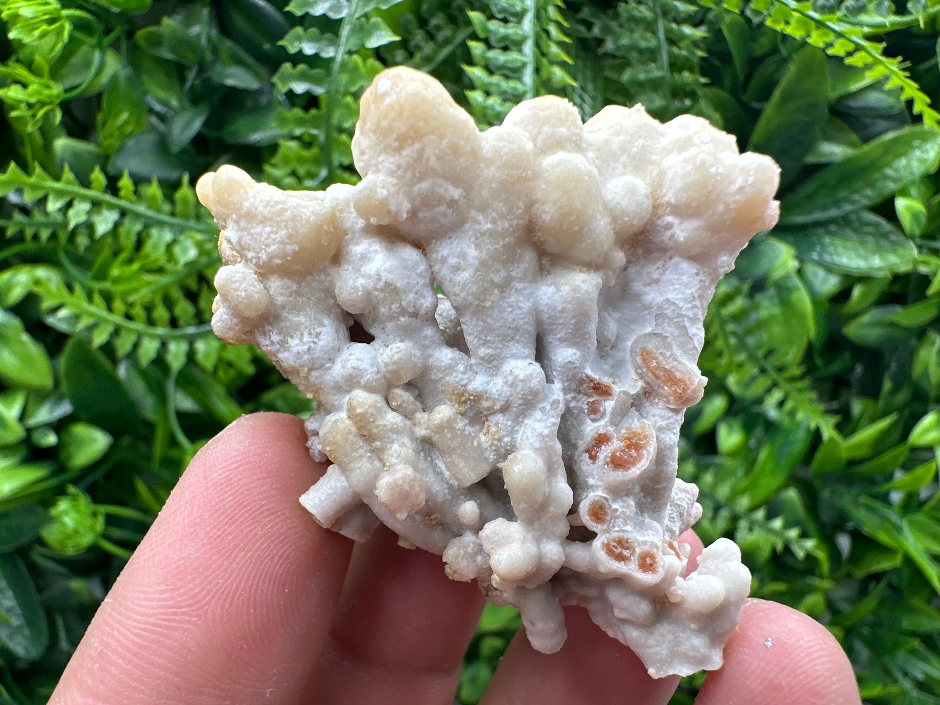Aragonite Cluster, Natural Mineral Specimen, Bulgaria Crystal