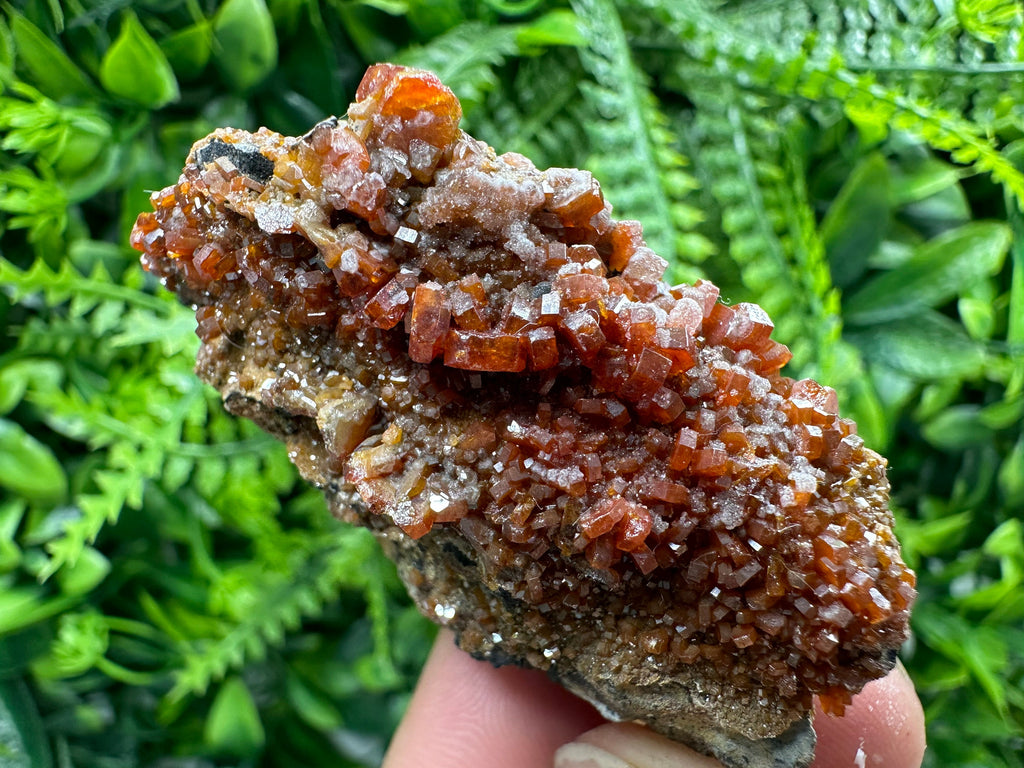 Red Vanadinite Crystal Cluster on Matrix, Morocco Mineral Specimen