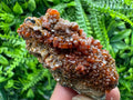 Red Vanadinite Crystal Cluster on Matrix, Morocco Mineral Specimen
