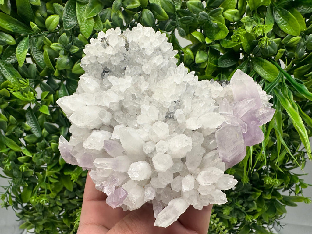 Quartz with Amethyst and Spahelrite, Djurcovo Mine, Bulgaria